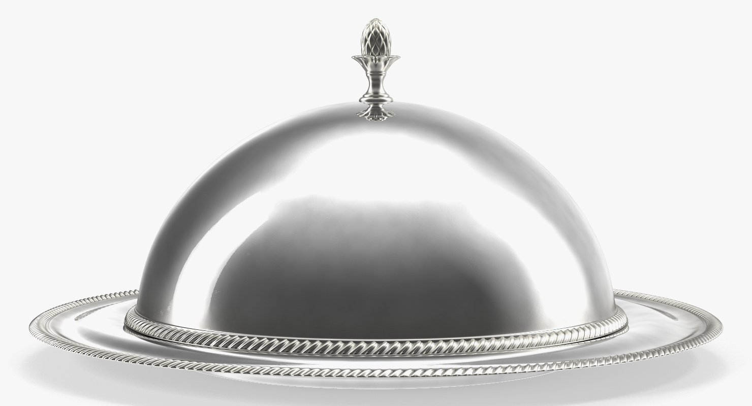 Food Cover Cloche Cook 3D