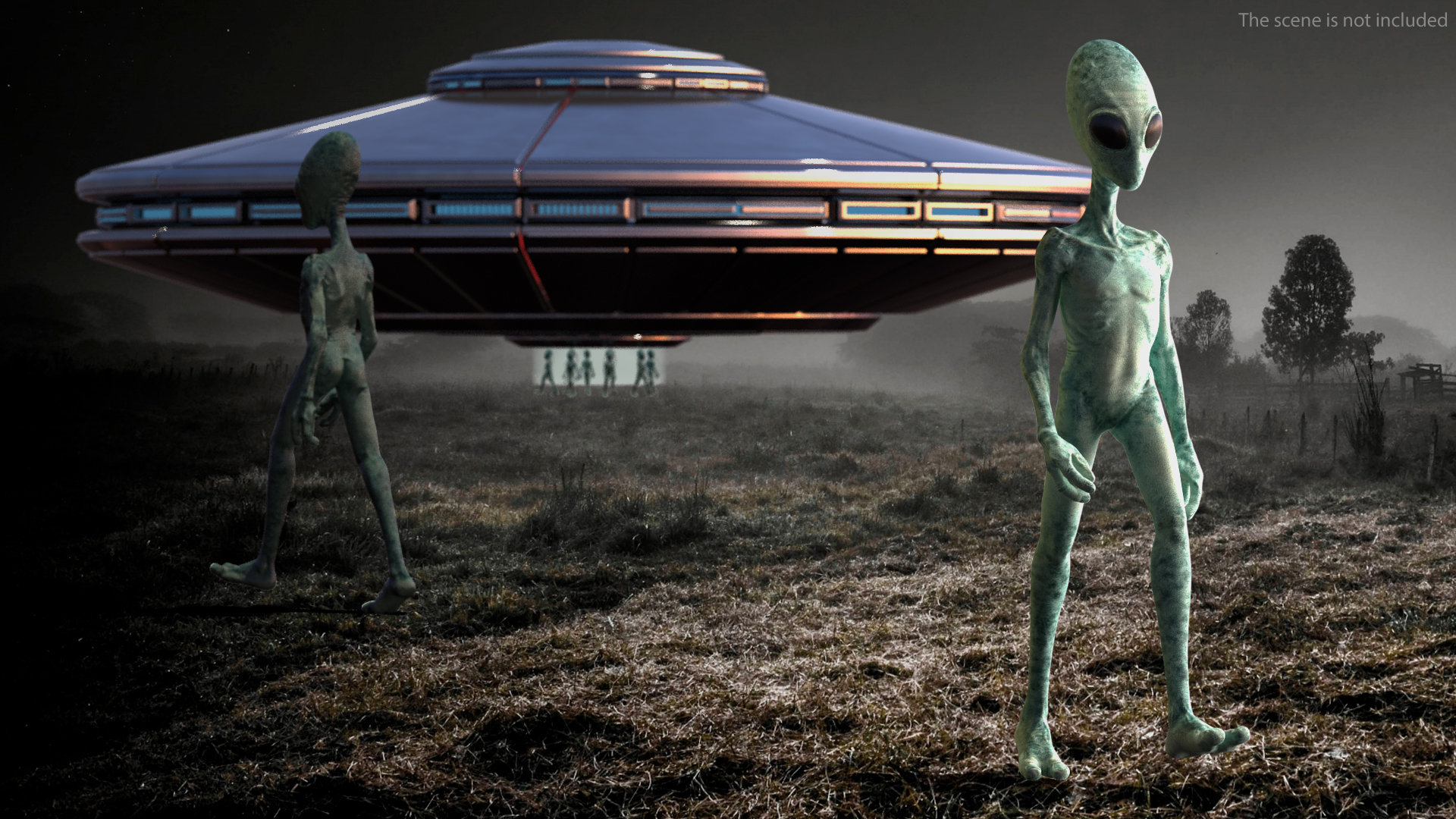 Extraterrestrial Alien Rigged 3D model