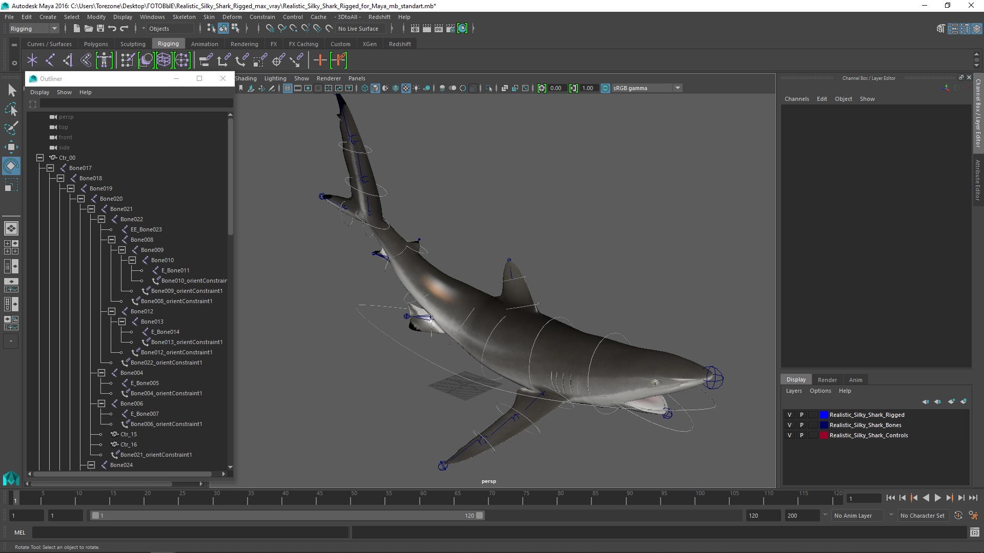Realistic Silky Shark Rigged for Maya 3D