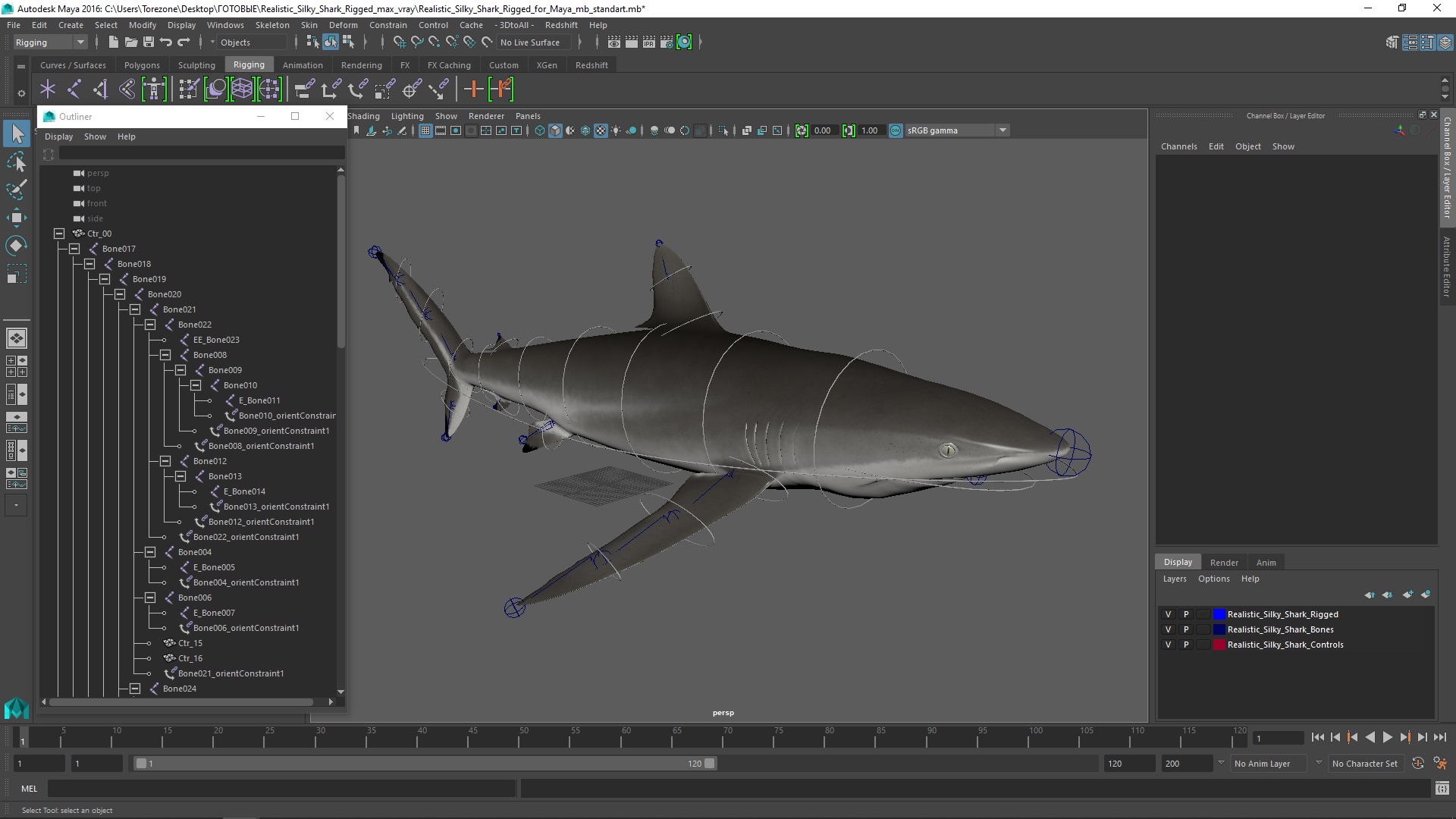 Realistic Silky Shark Rigged for Maya 3D