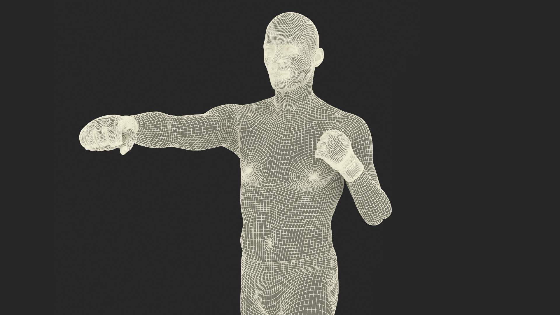 UFC MMA Fighter in Kicking Stance Sweaty Fur 3D model