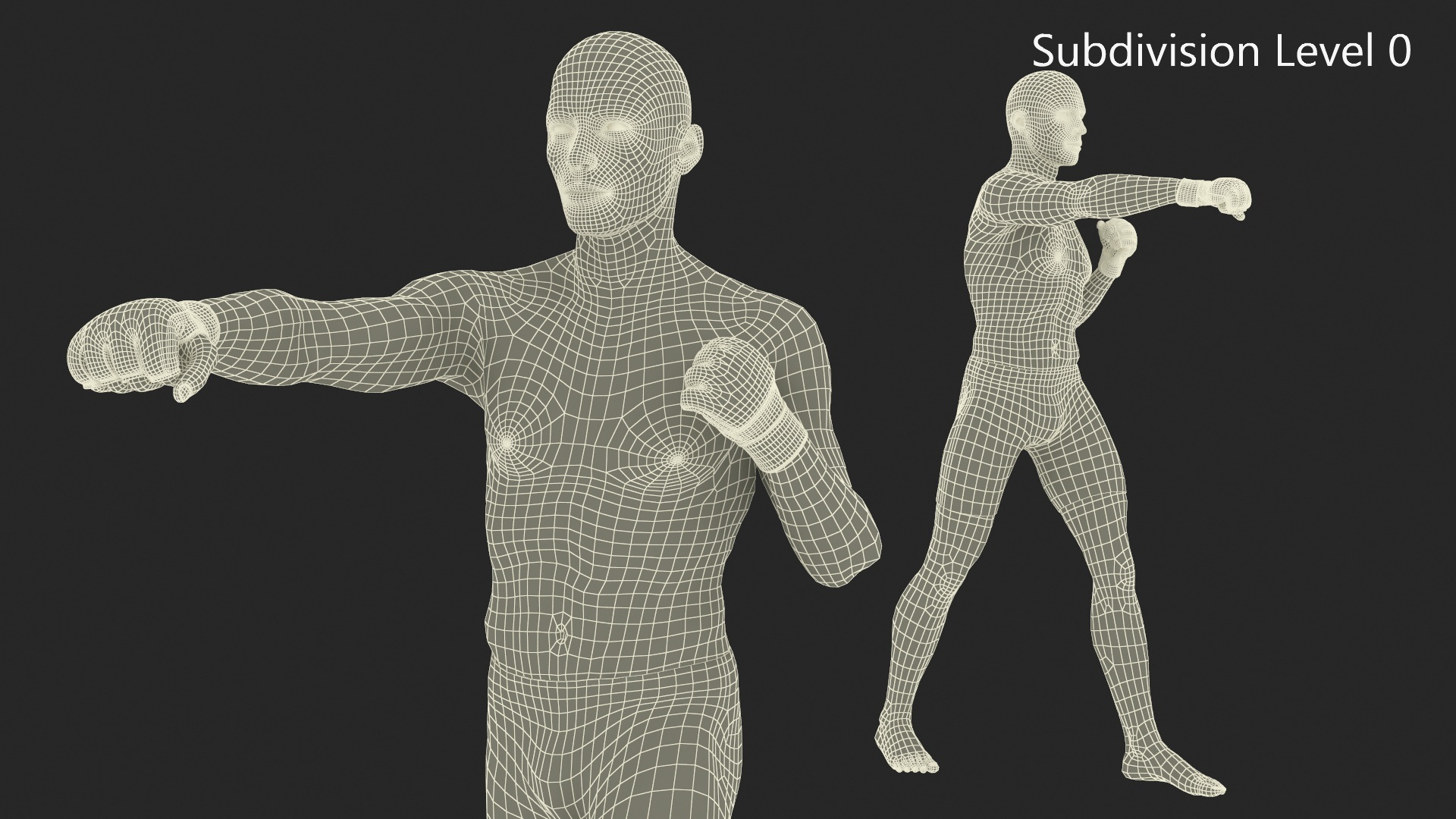 UFC MMA Fighter in Kicking Stance Sweaty Fur 3D model