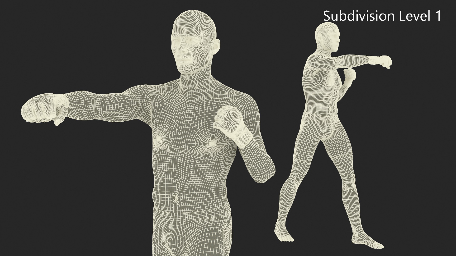 UFC MMA Fighter in Kicking Stance Sweaty Fur 3D model