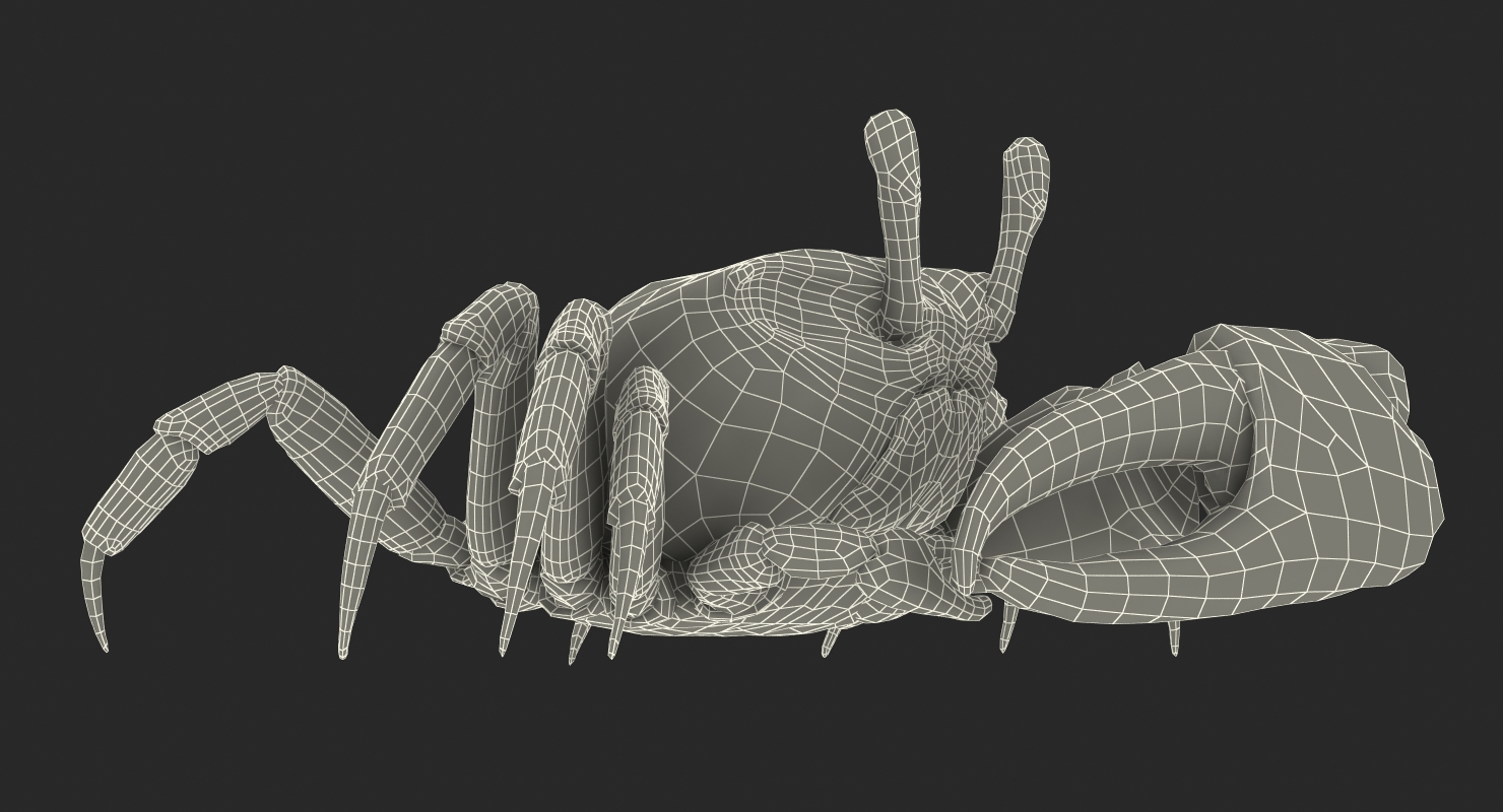 3D Fiddler Crab with Fur Rigged model