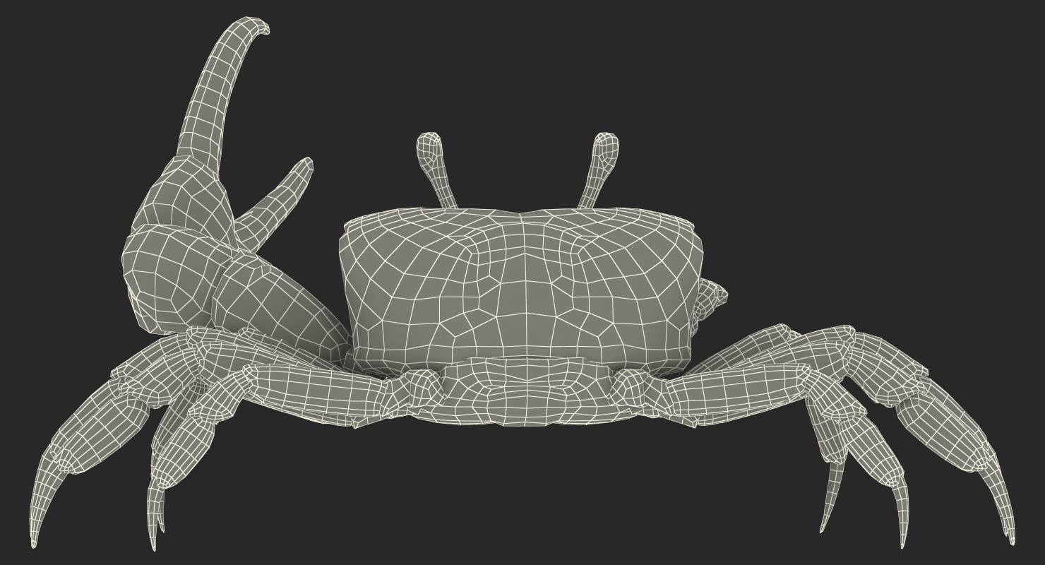 3D Fiddler Crab with Fur Rigged model