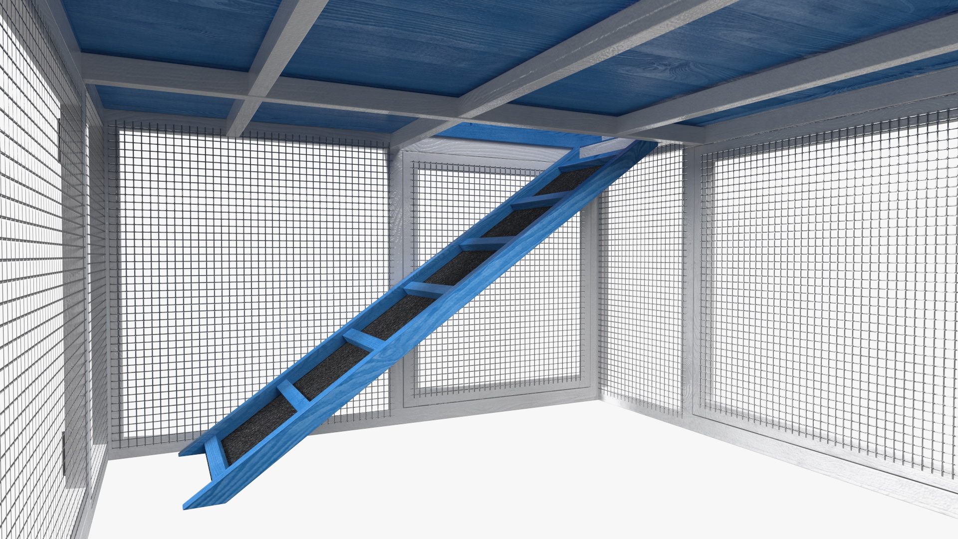 Chicken Coop Blue 3D