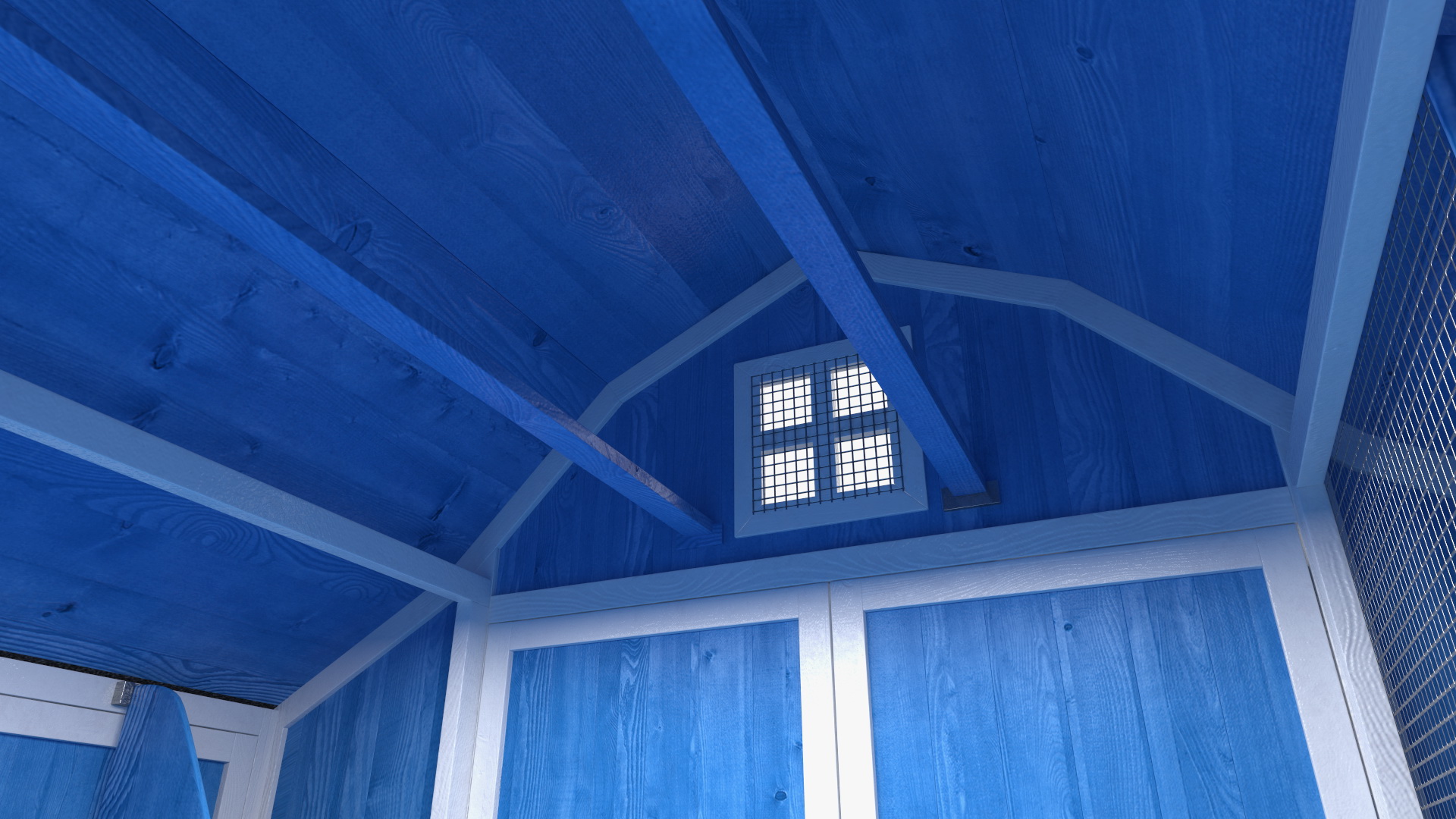 Chicken Coop Blue 3D