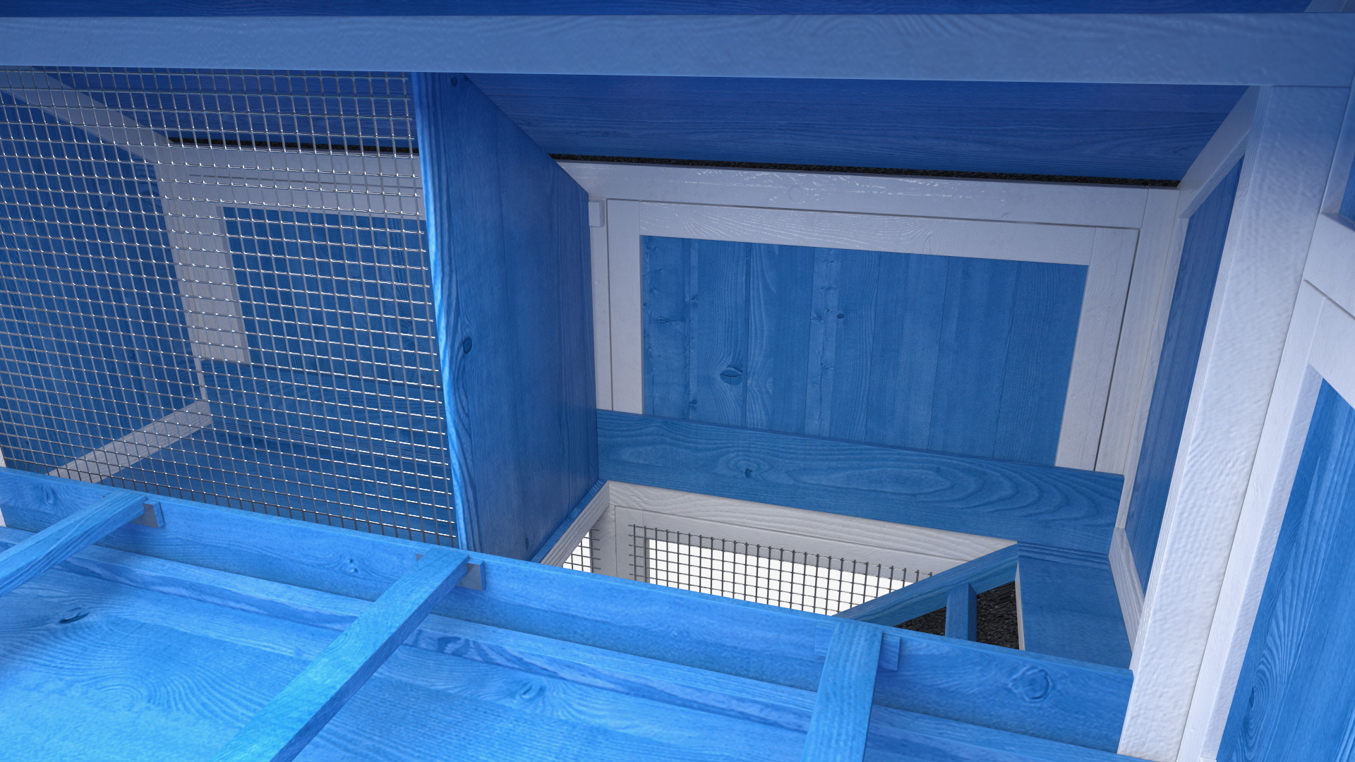 Chicken Coop Blue 3D