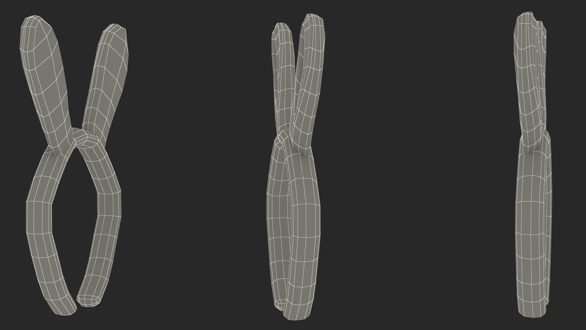 3D Bunny Ears Headband Fur model