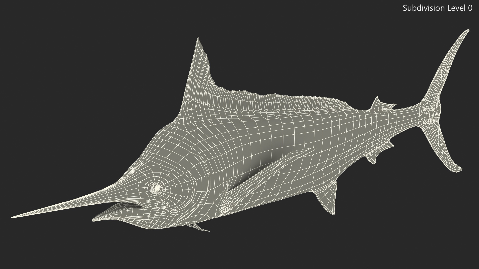 Black Marlin Fish 3D