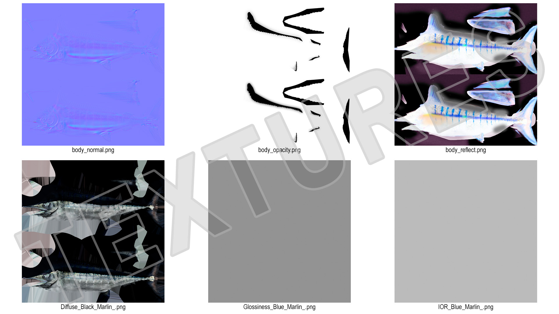 Black Marlin Fish 3D