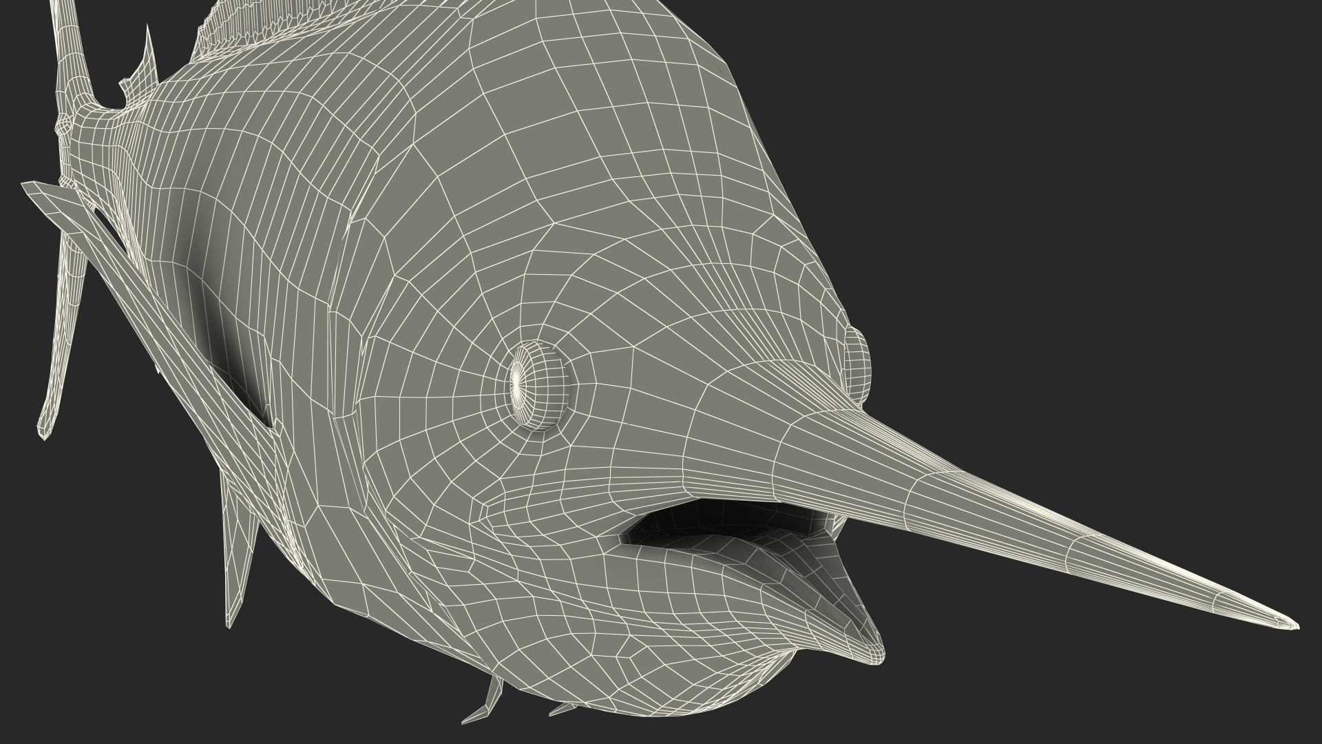 Black Marlin Fish 3D