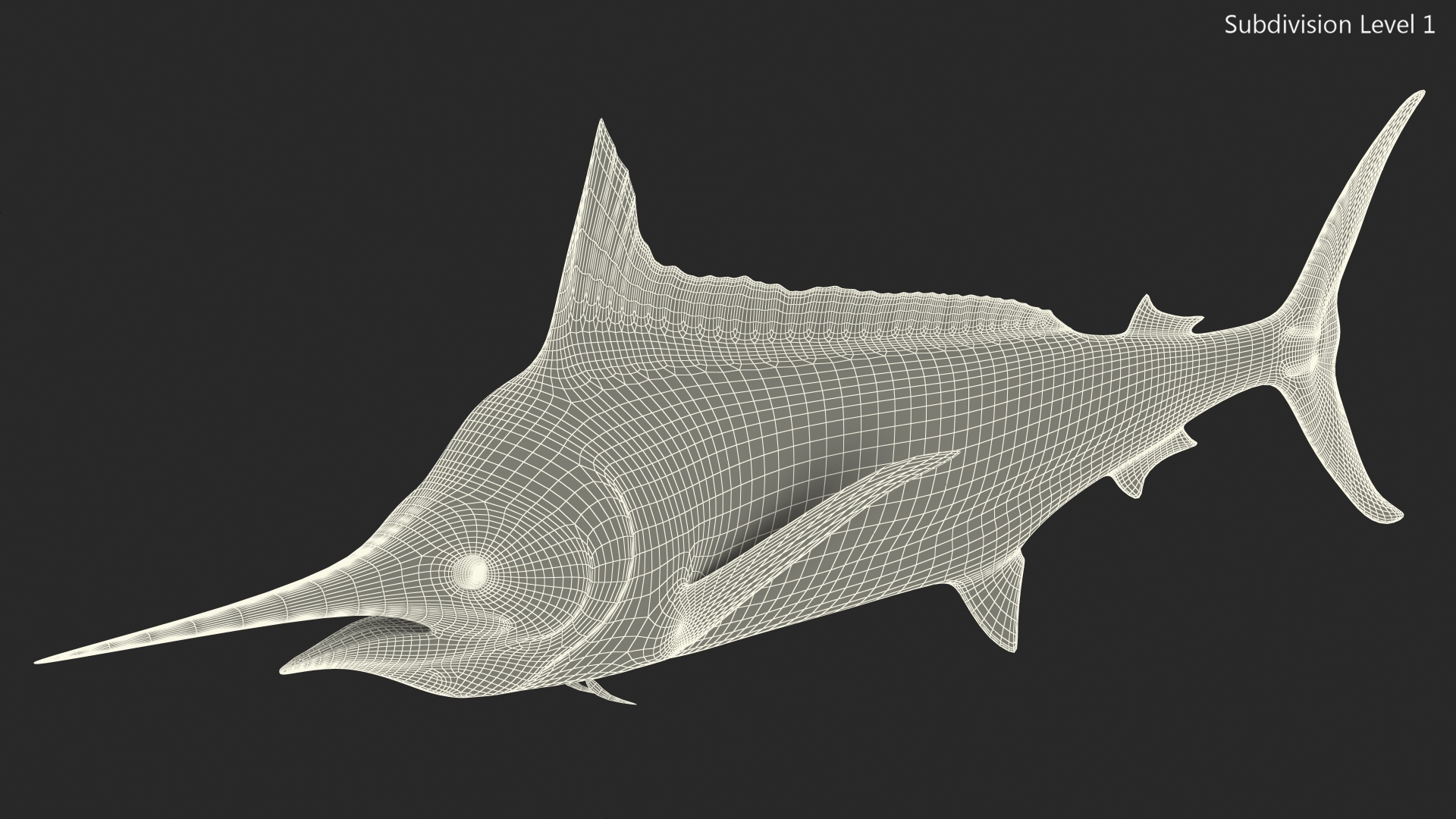 Black Marlin Fish 3D