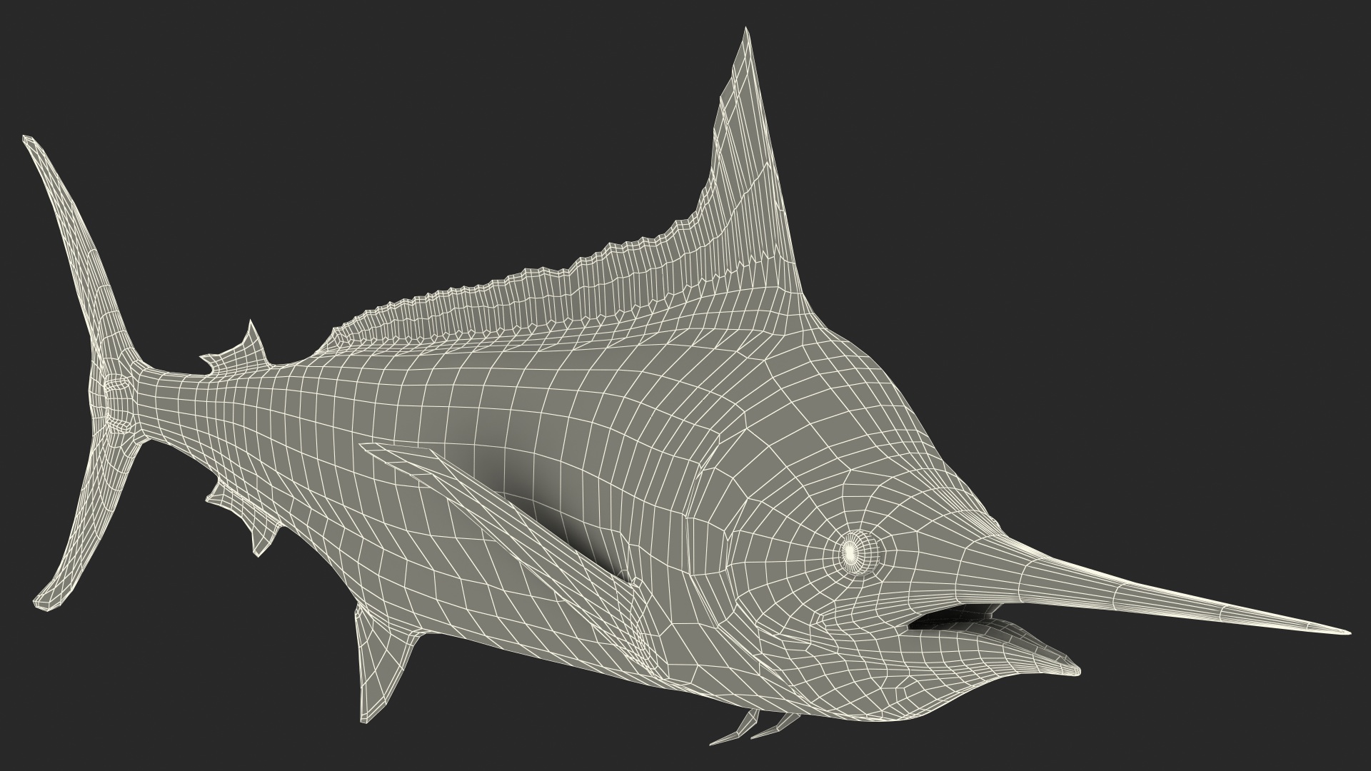 Black Marlin Fish 3D