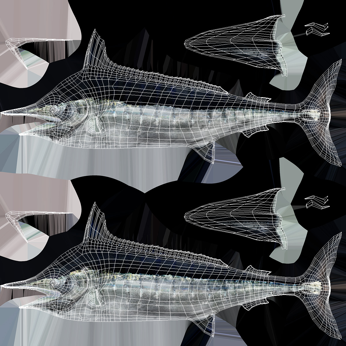 Black Marlin Fish 3D