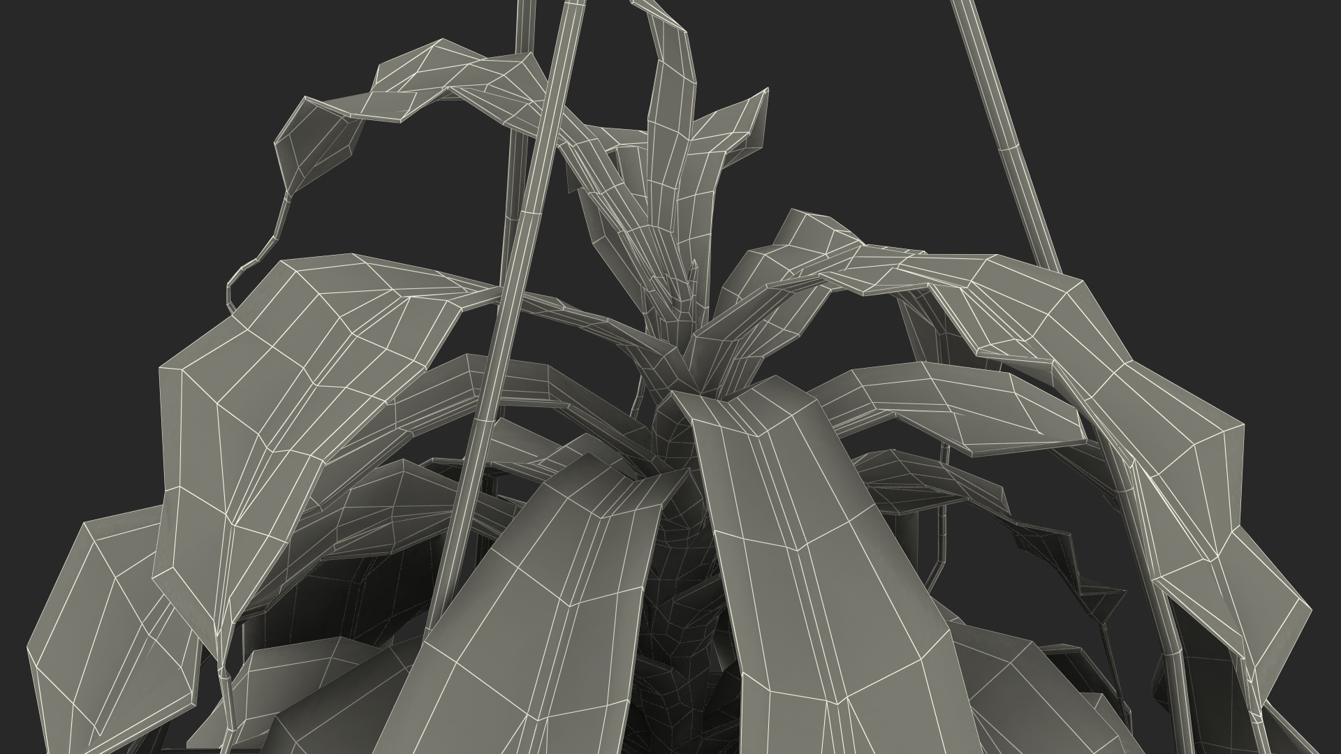 3D Pitcher Plant in Hanging Pot model