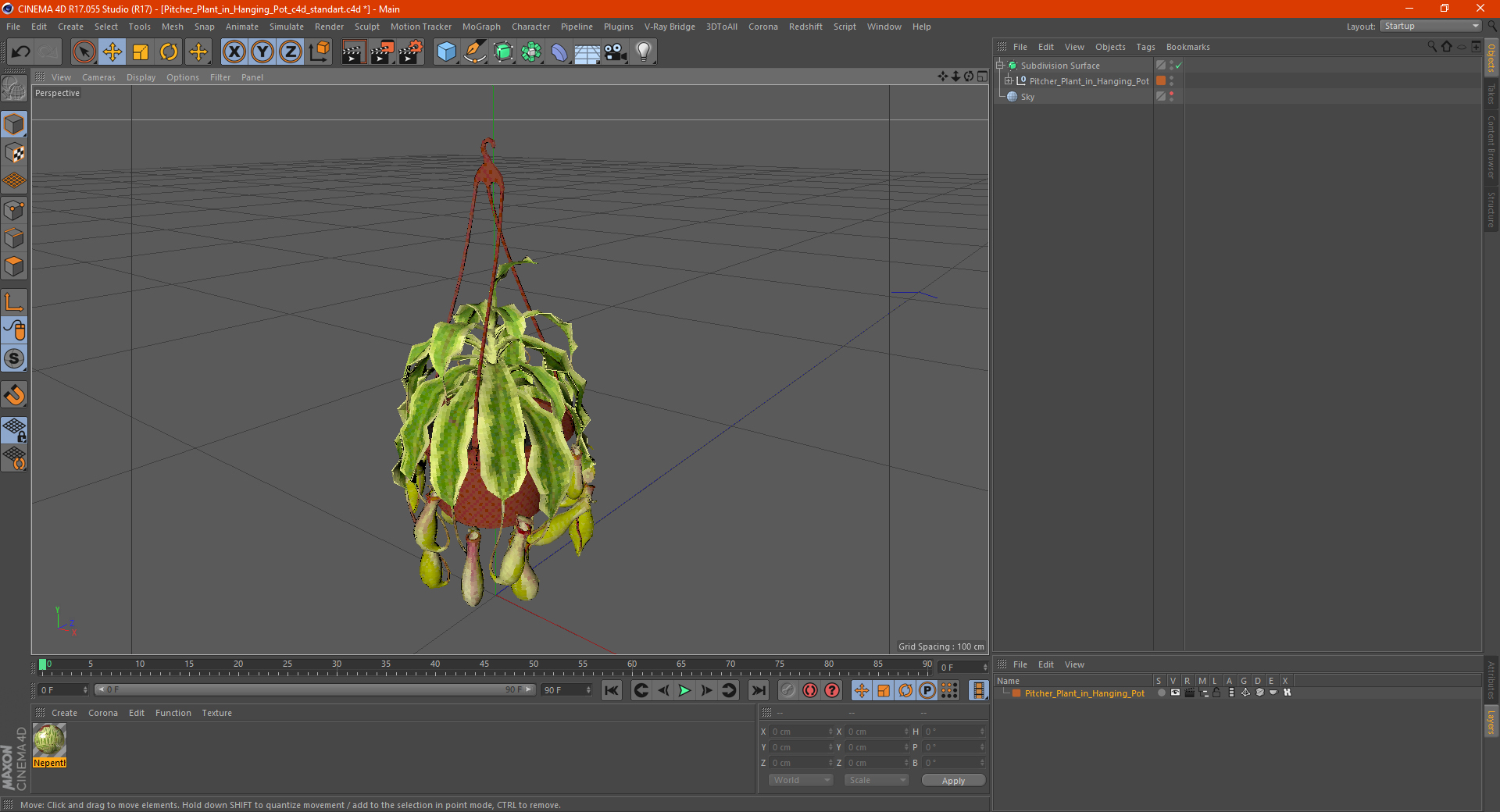 3D Pitcher Plant in Hanging Pot model