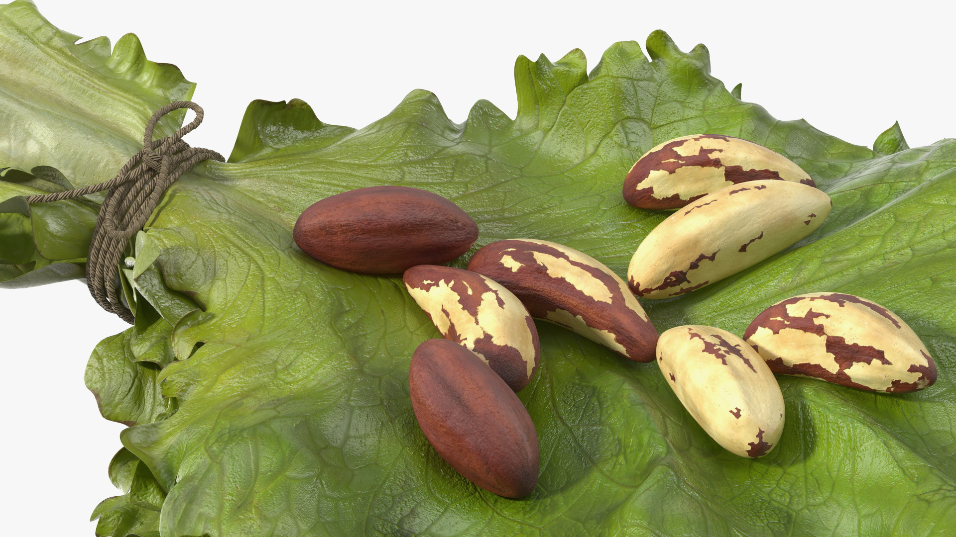 3D Lettuce Leaves with Brazil Nuts