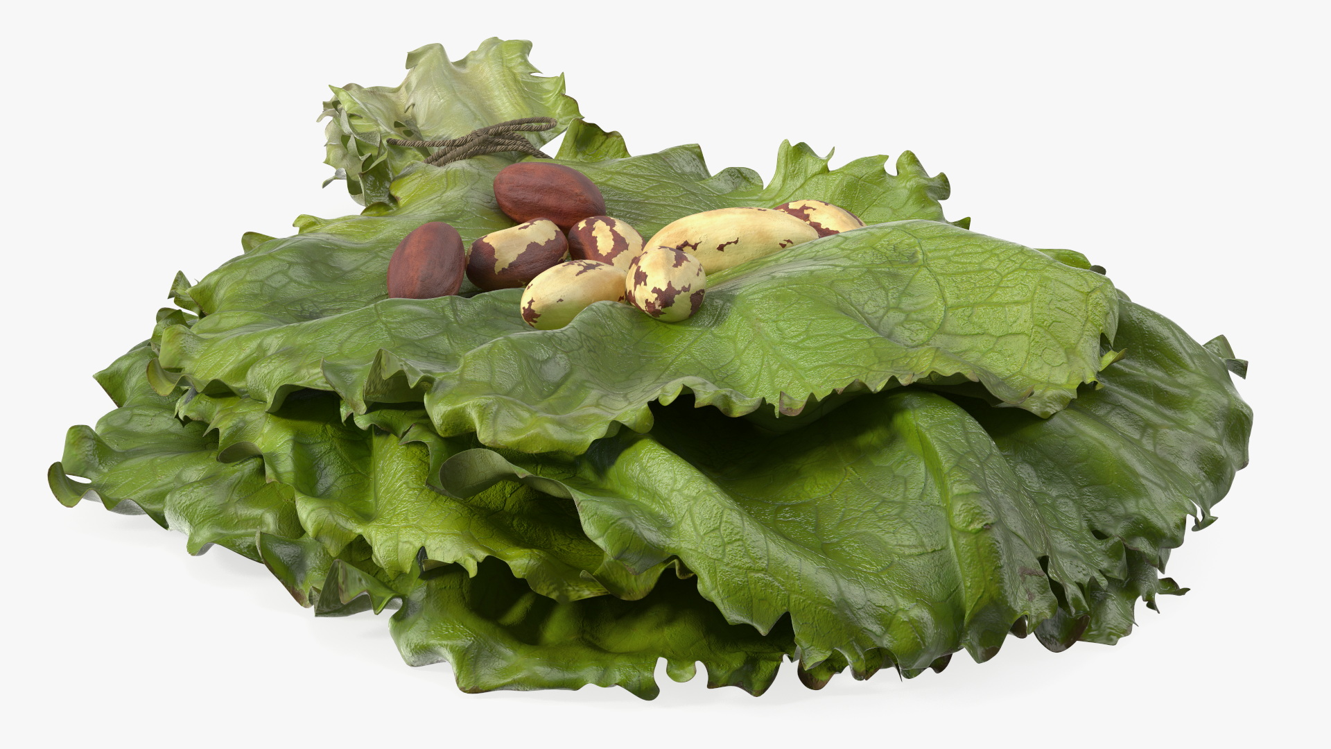 3D Lettuce Leaves with Brazil Nuts