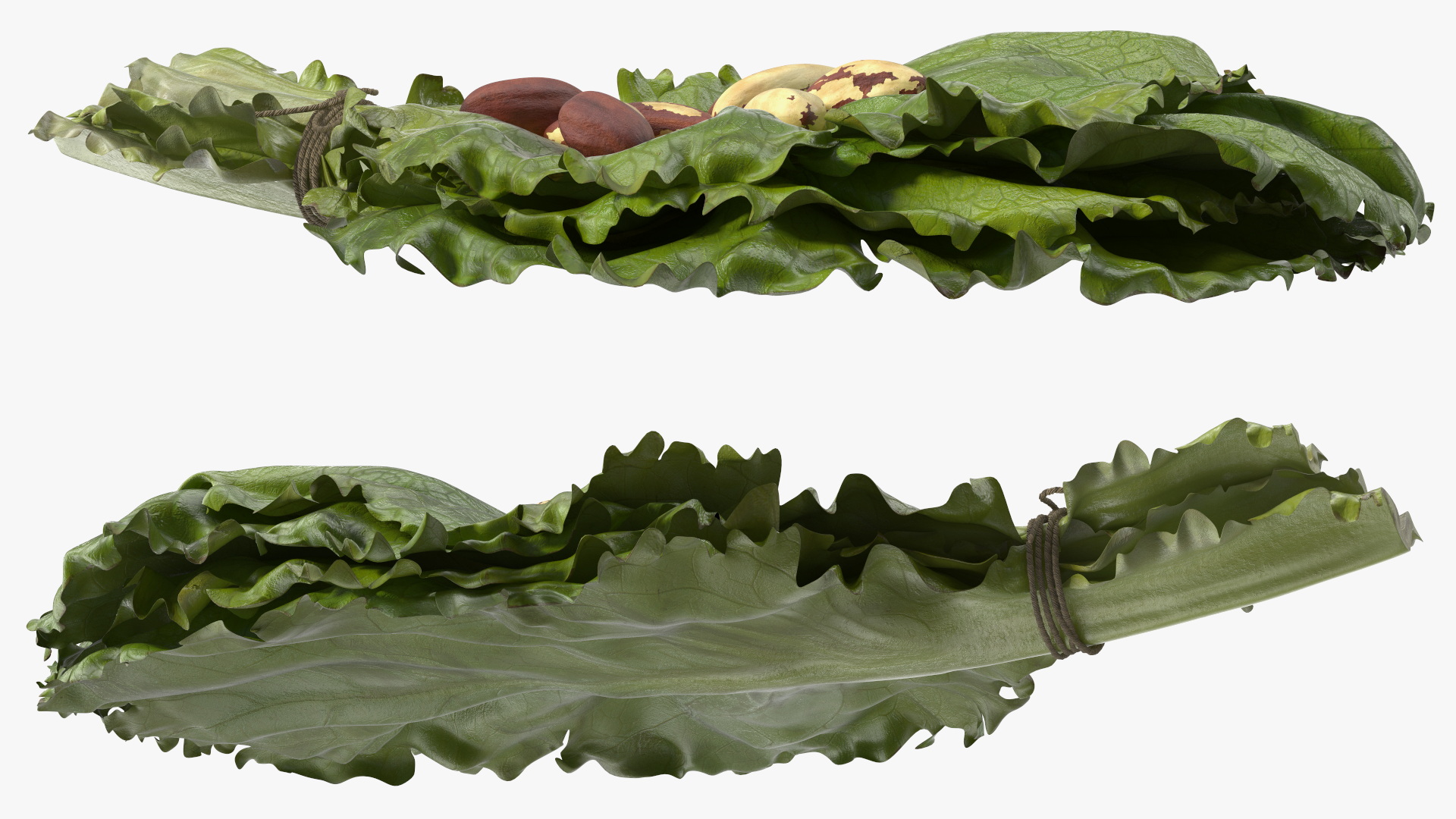 3D Lettuce Leaves with Brazil Nuts