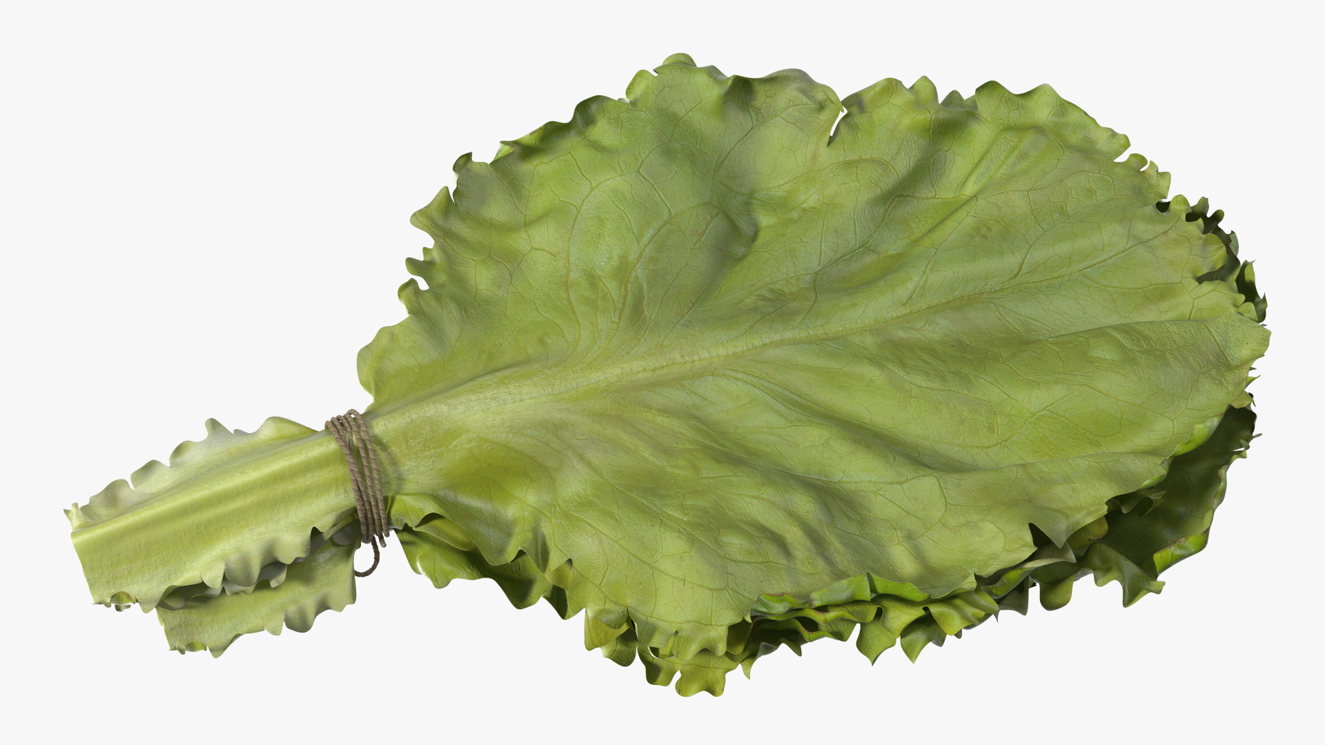 3D Lettuce Leaves with Brazil Nuts