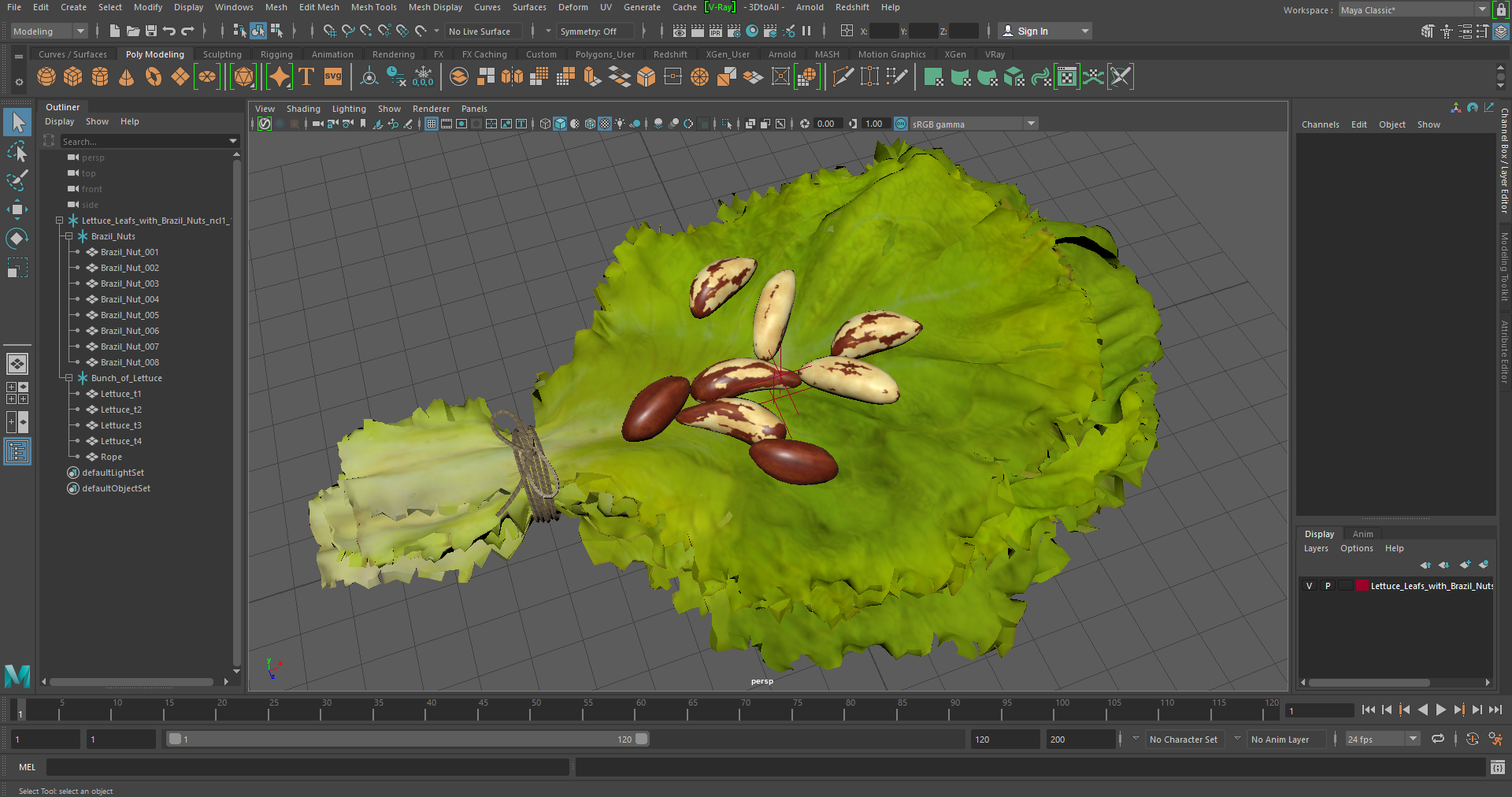 3D Lettuce Leaves with Brazil Nuts