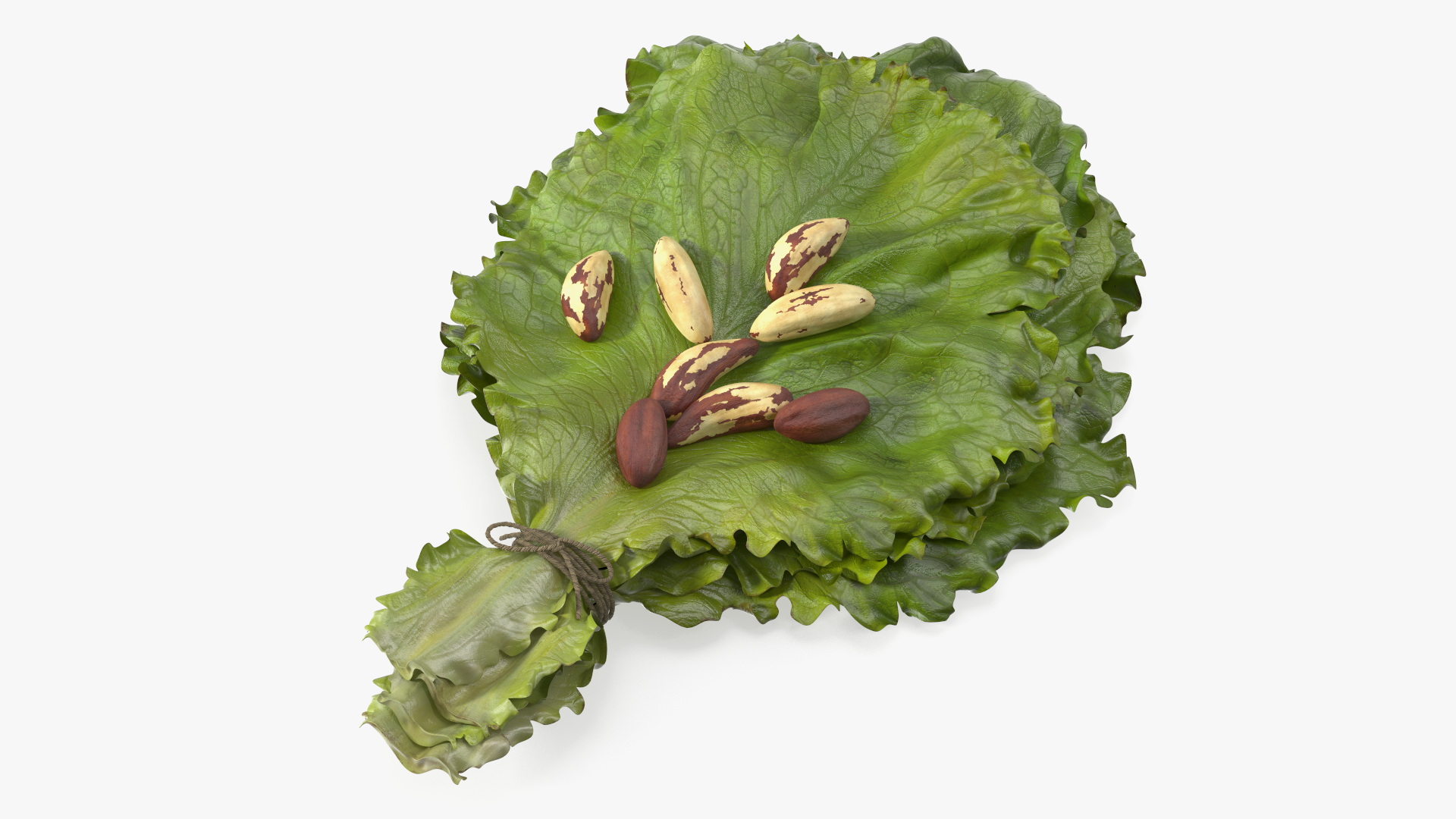 3D Lettuce Leaves with Brazil Nuts