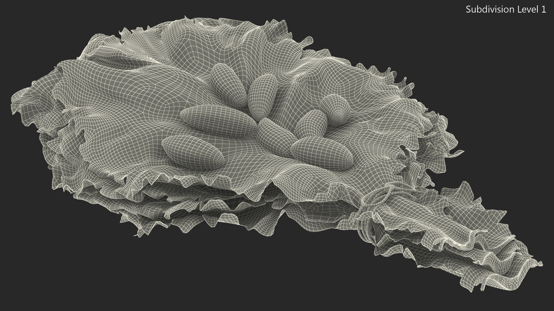 3D Lettuce Leaves with Brazil Nuts