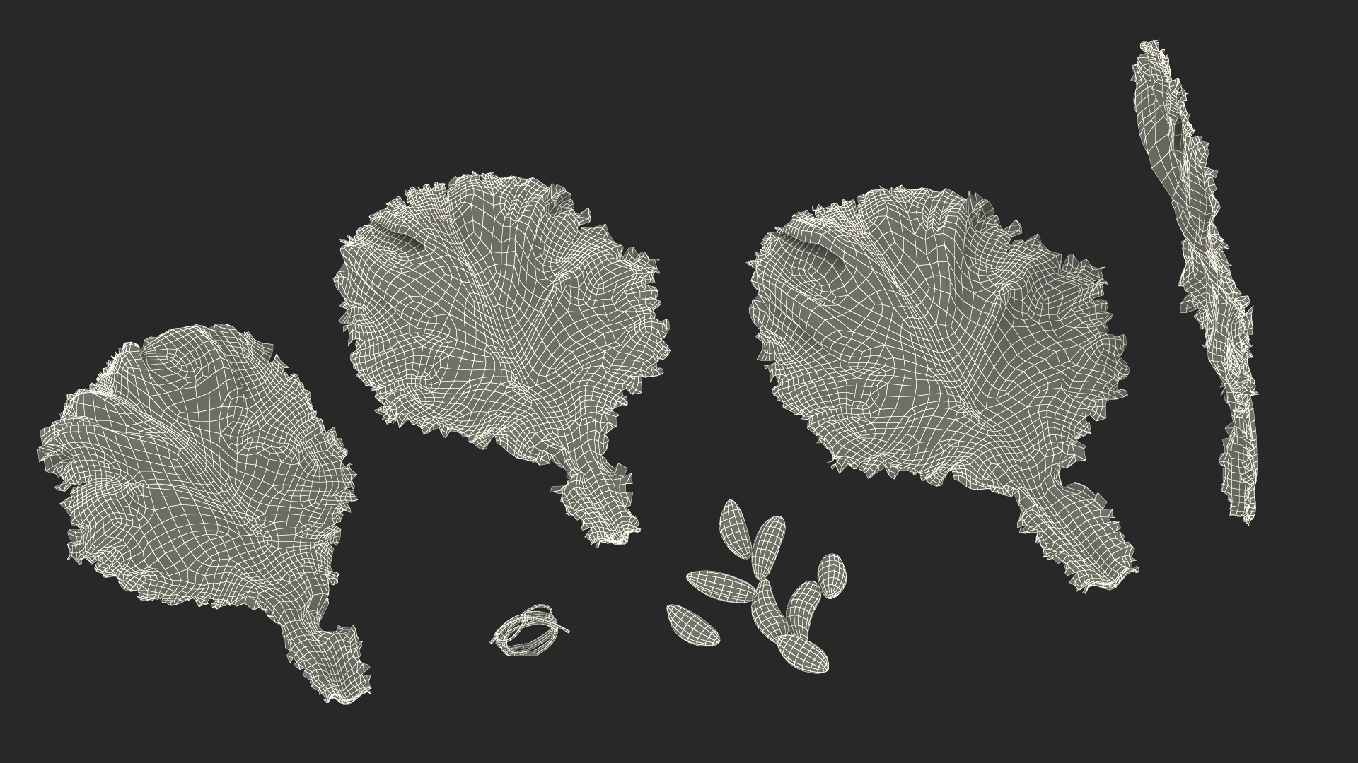 3D Lettuce Leaves with Brazil Nuts