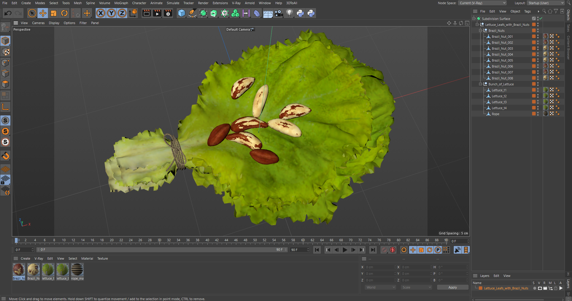 3D Lettuce Leaves with Brazil Nuts