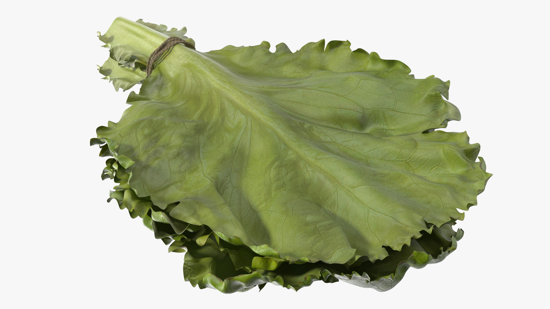 3D Lettuce Leaves with Brazil Nuts