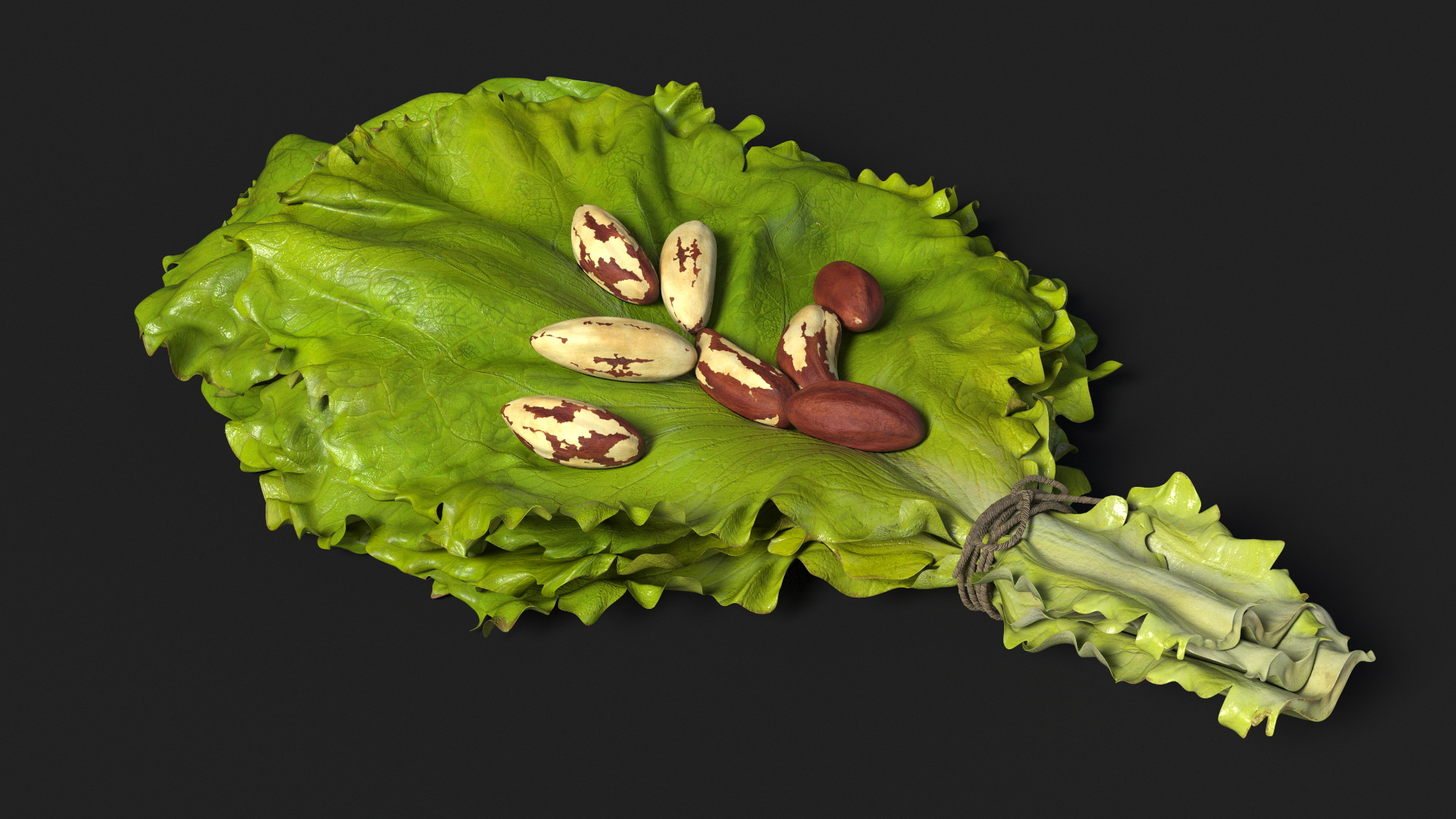 3D Lettuce Leaves with Brazil Nuts