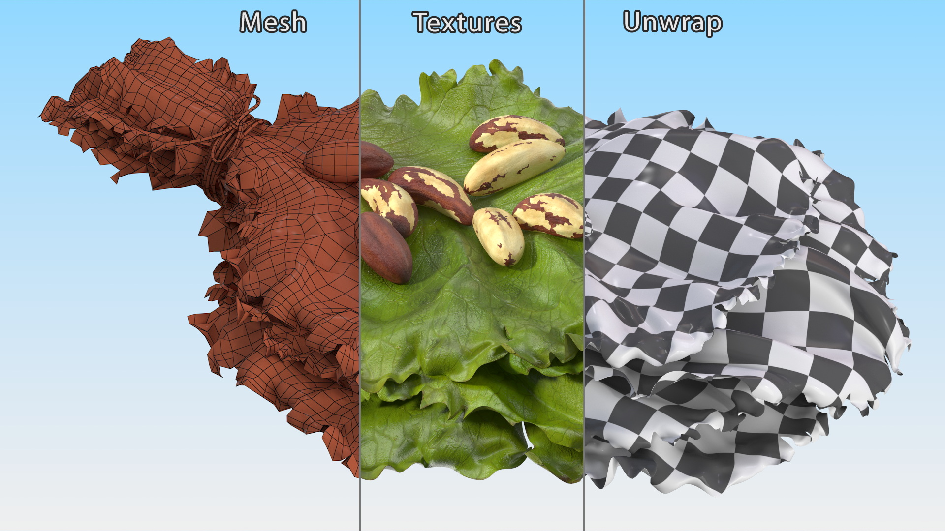 3D Lettuce Leaves with Brazil Nuts