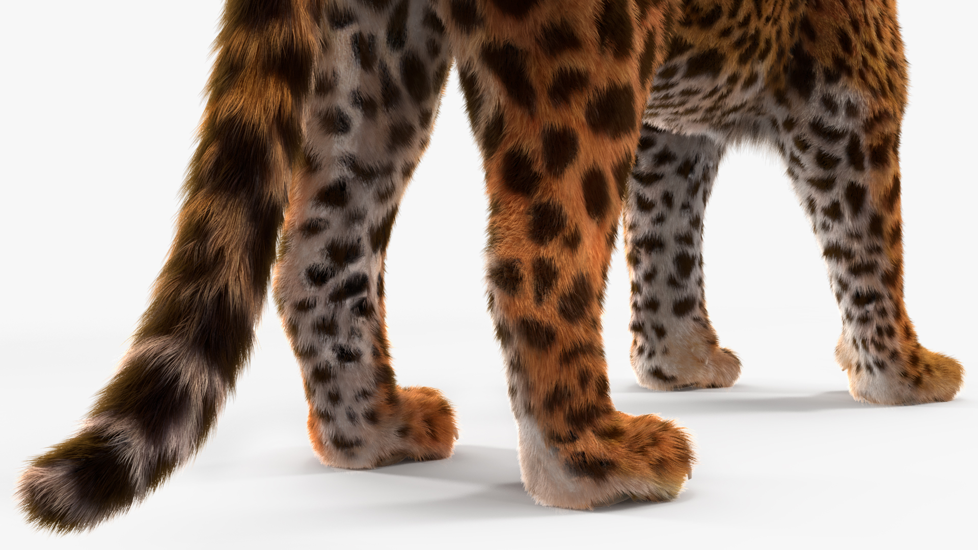 3D Jaguar Stand Pose Fur