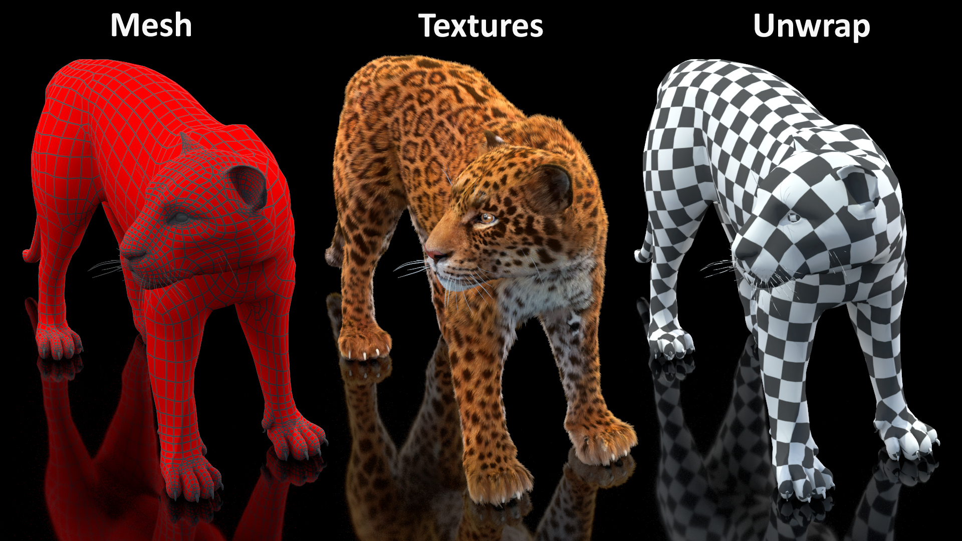 3D Jaguar Stand Pose Fur