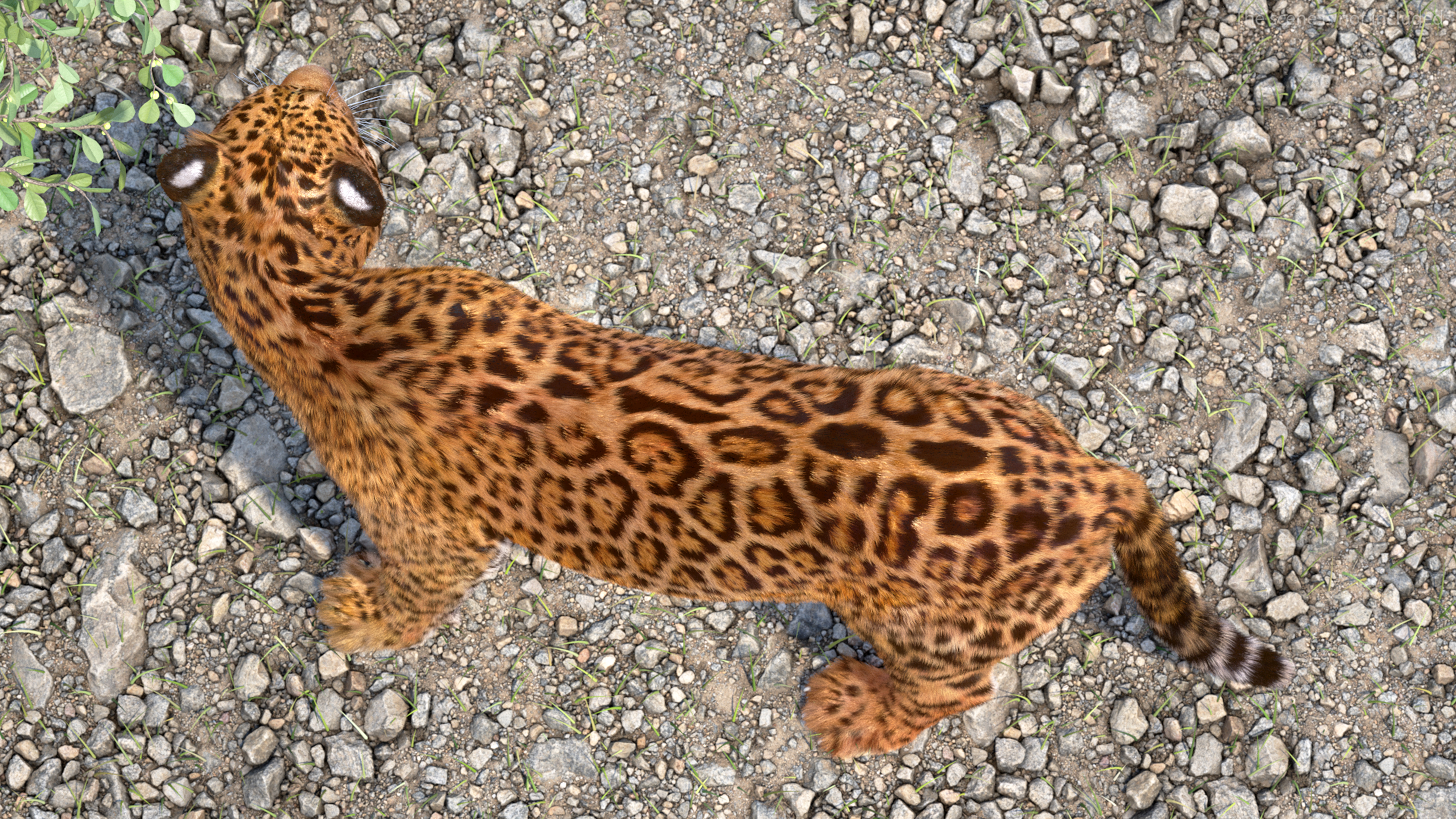 3D Jaguar Stand Pose Fur