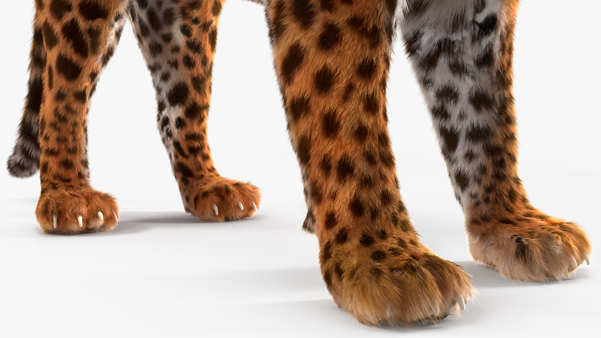 3D Jaguar Stand Pose Fur