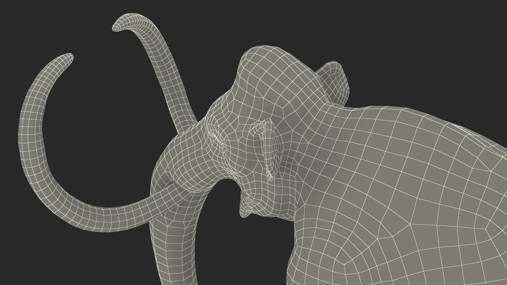 3D Adult Mammoth Clean Skeleton Shell Rigged