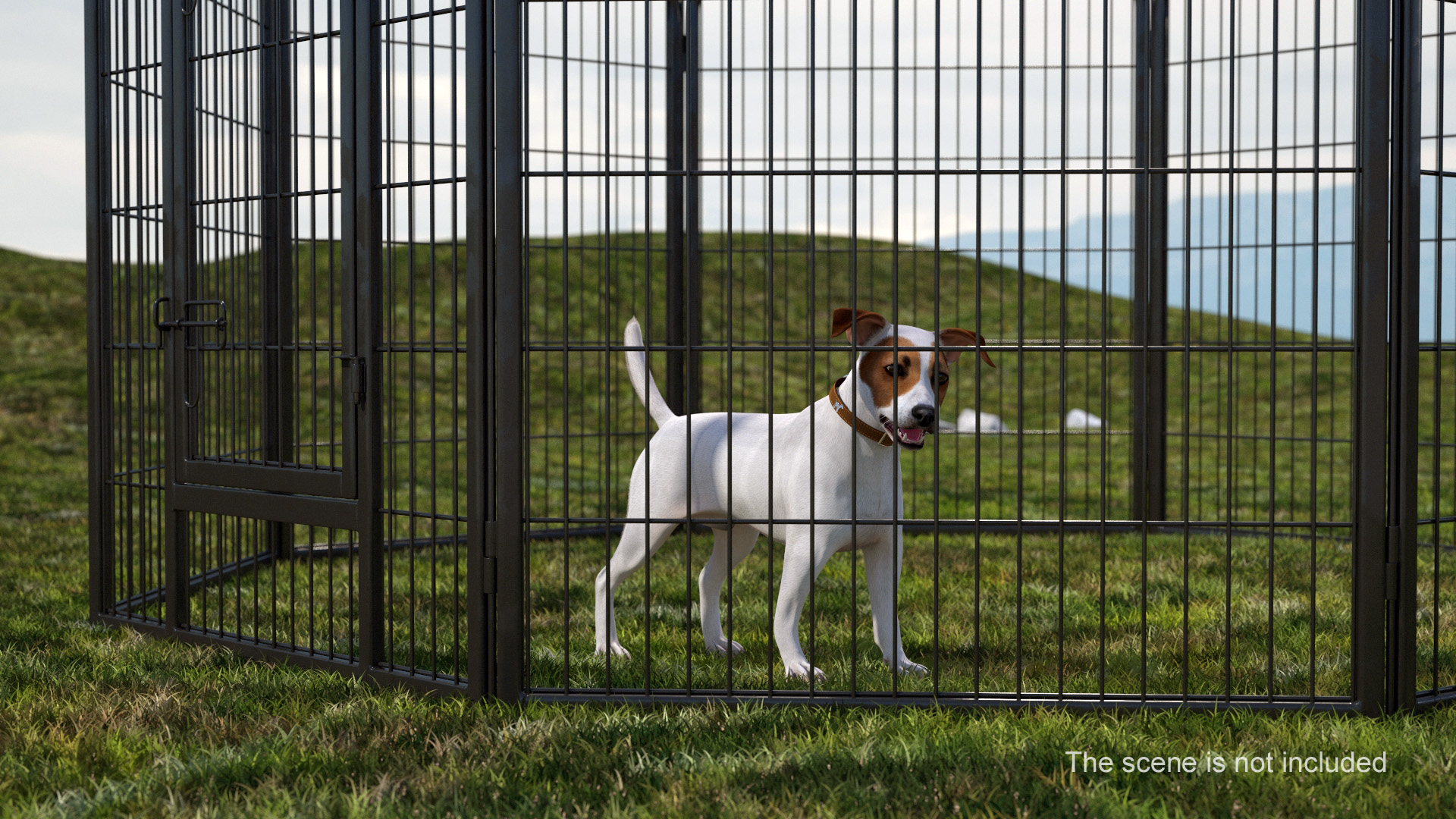 3D Octagonal Playpen for Dogs