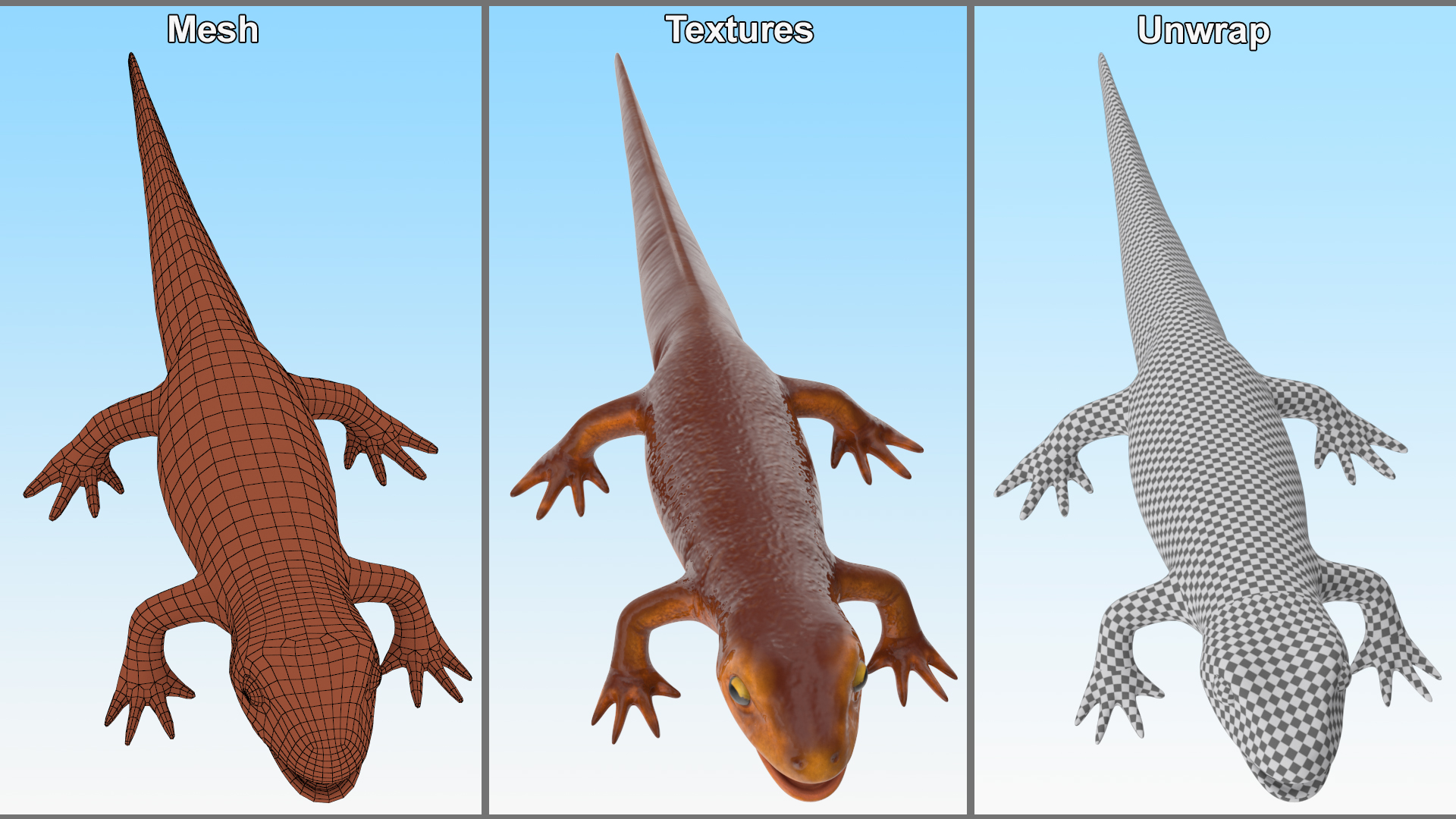 3D model California Newt