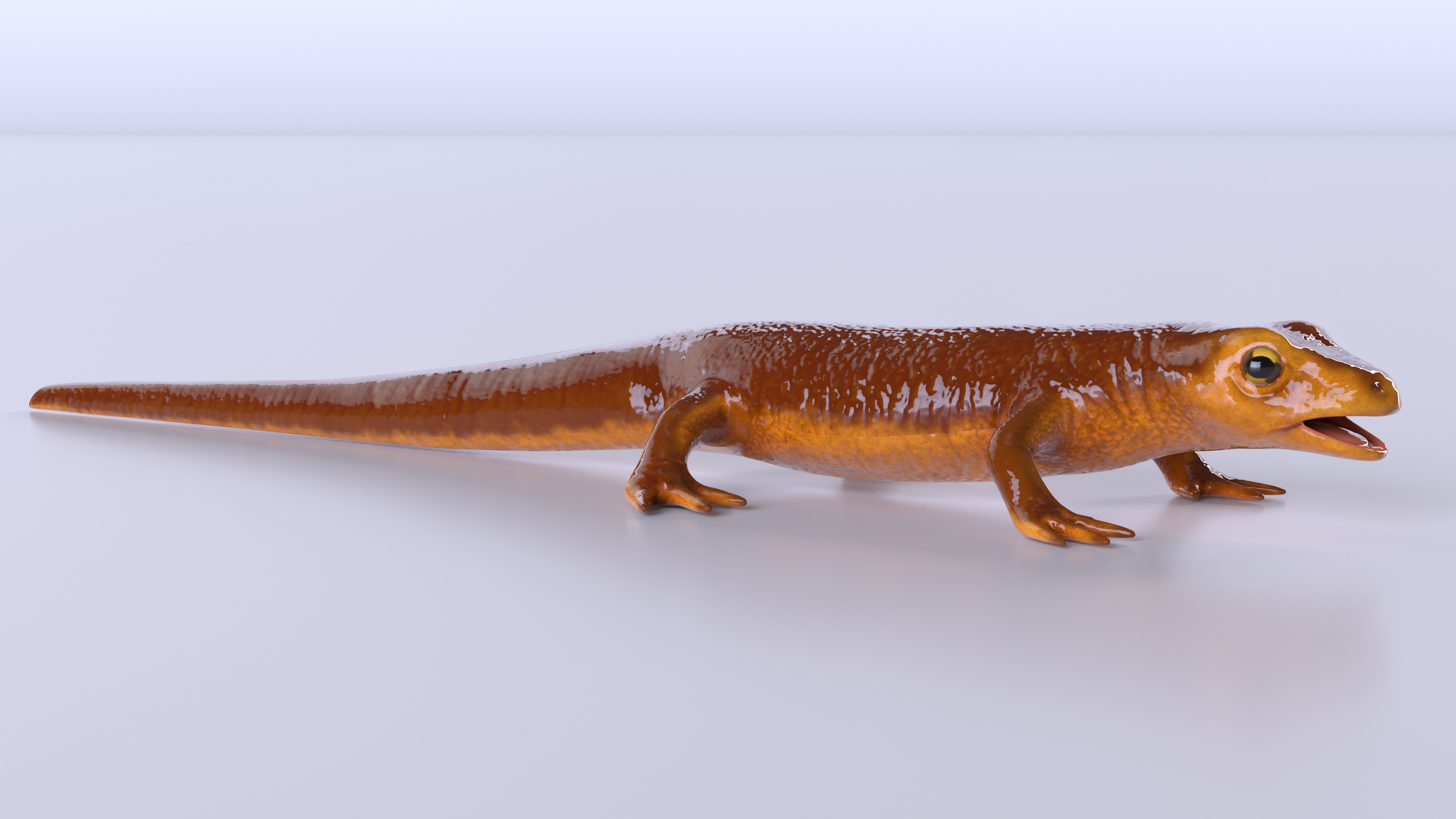 3D model California Newt