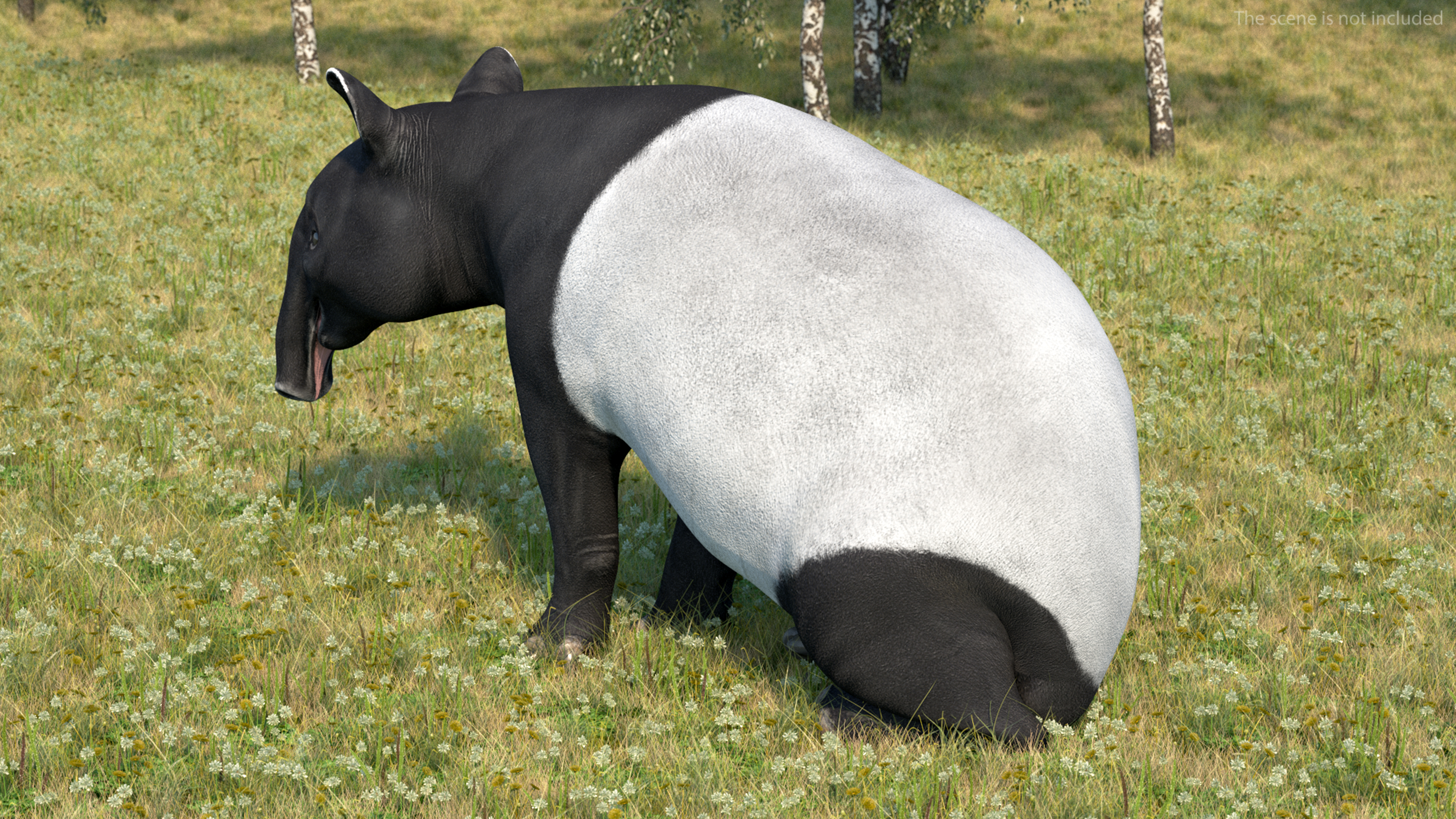3D Tapir Rigged for Maya