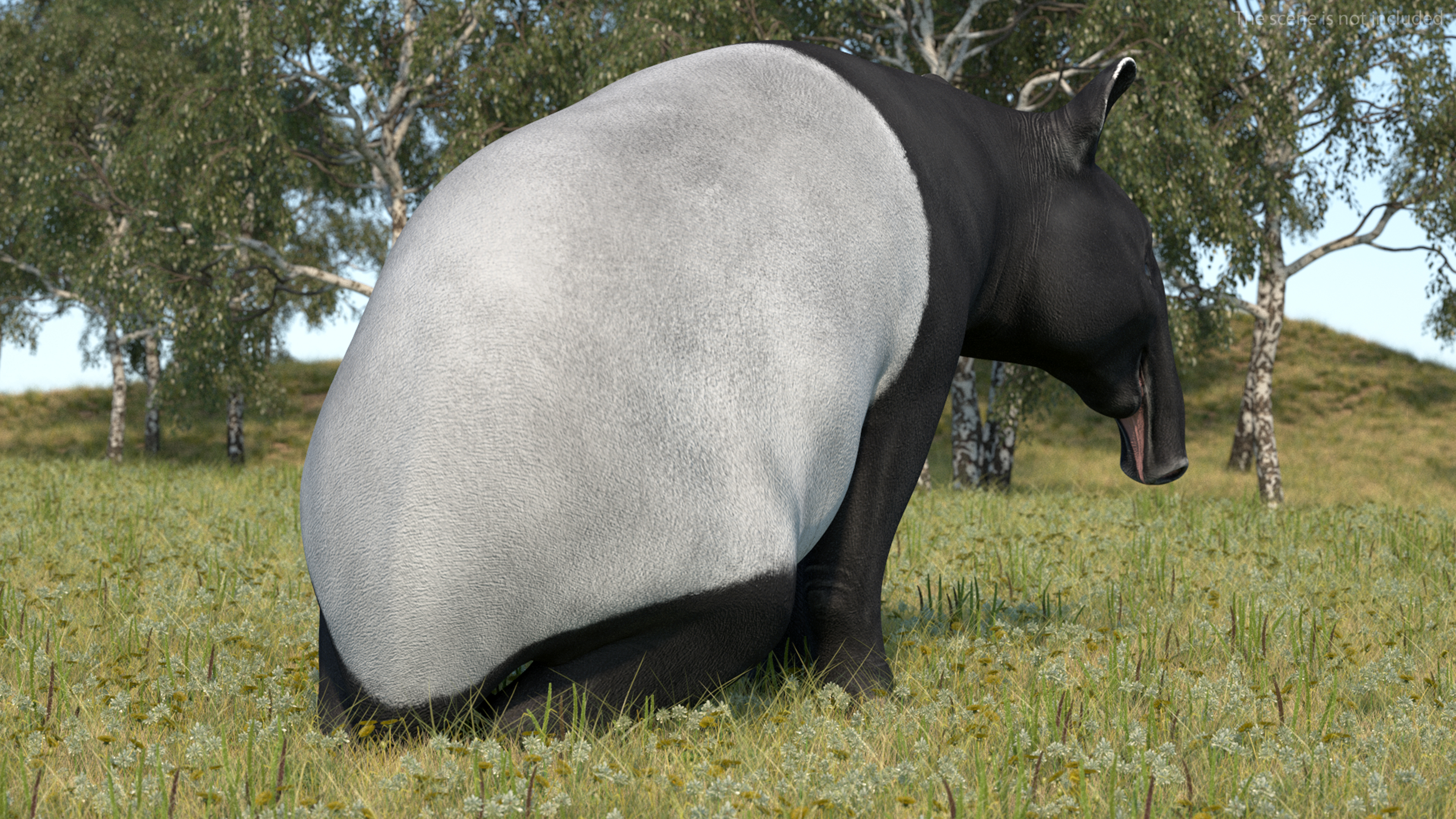 3D Tapir Rigged for Maya