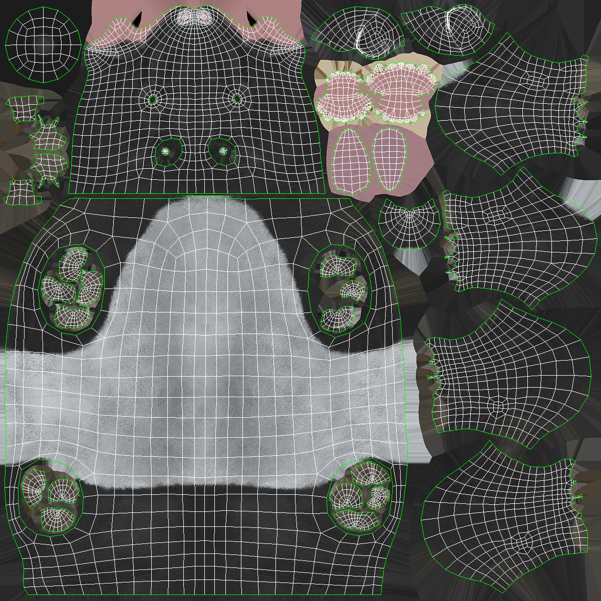 3D Tapir Rigged for Maya
