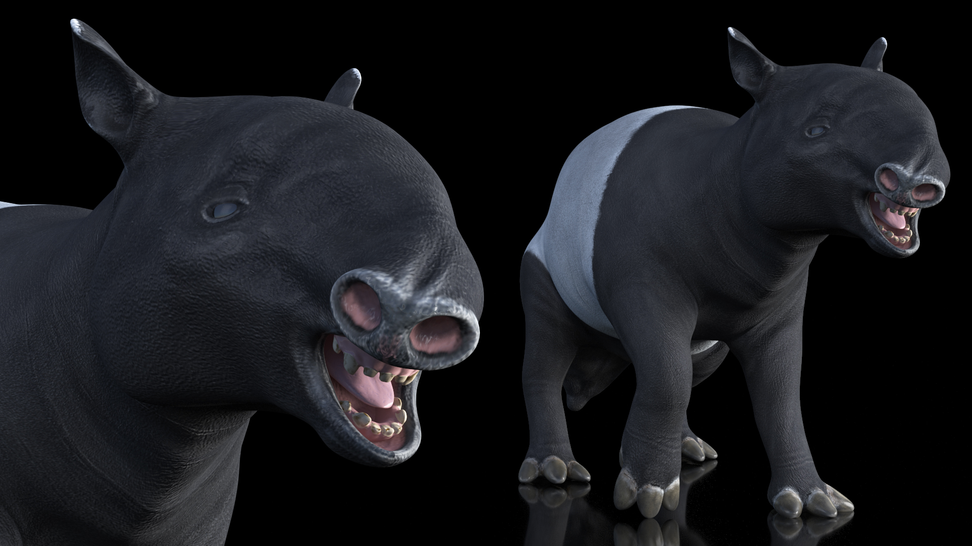 3D Tapir Rigged for Maya