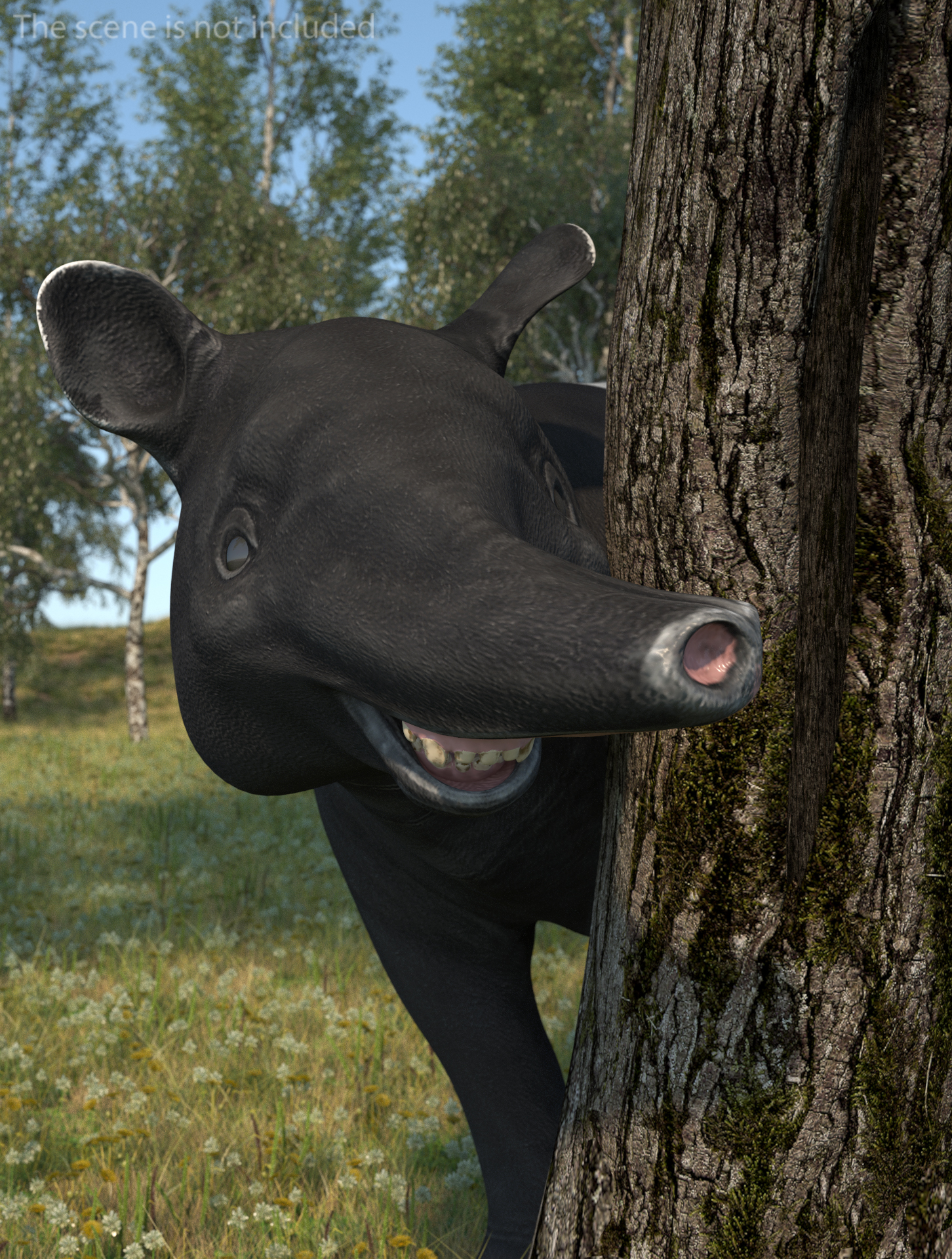3D Tapir Rigged for Maya