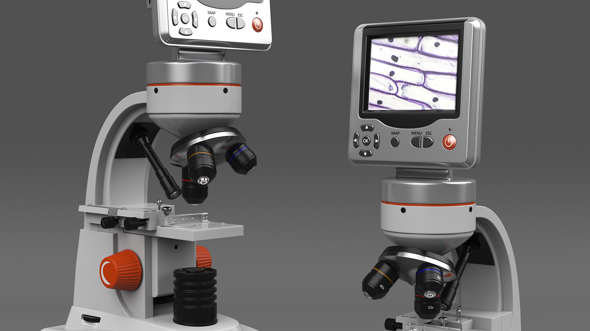 Professional Biological Microscope 3D model