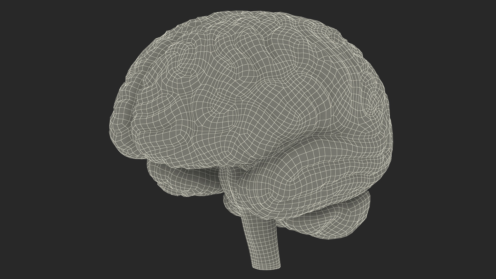 3D Human Brain Plastic Model for 3D Print model