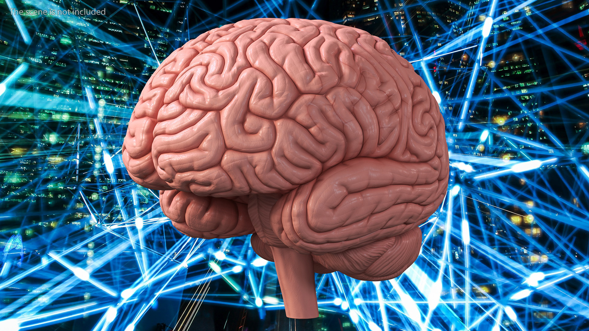 3D Human Brain Plastic Model for 3D Print model