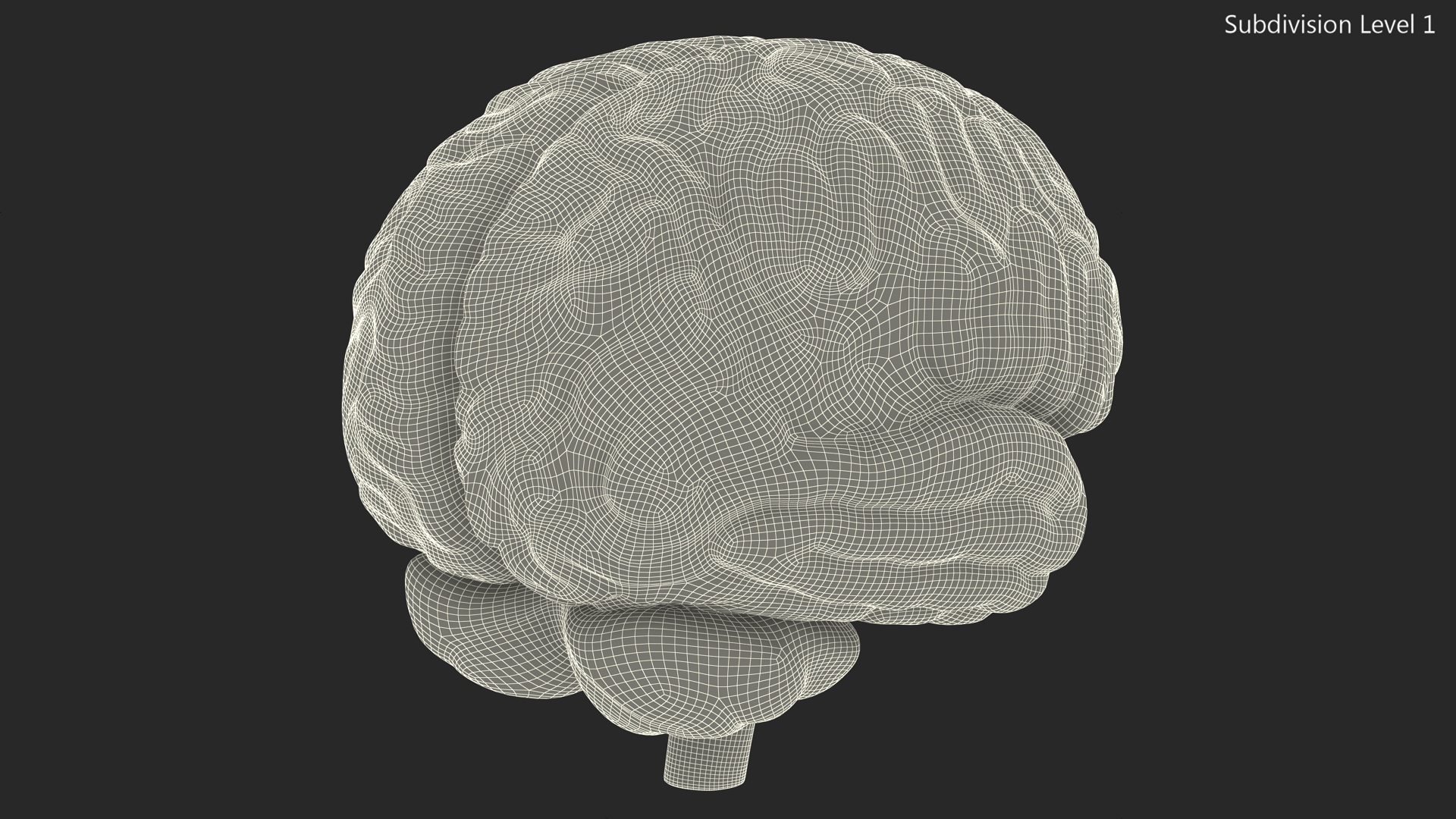 3D Human Brain Plastic Model for 3D Print model